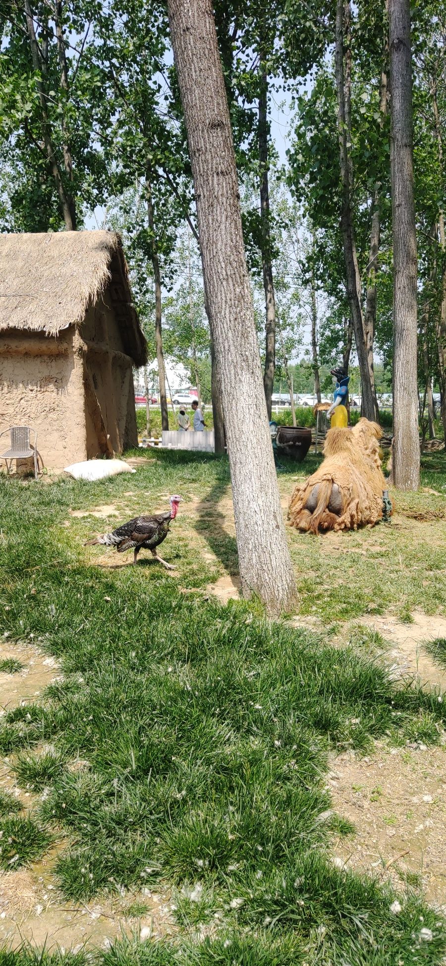 童话森林旅行图片 2