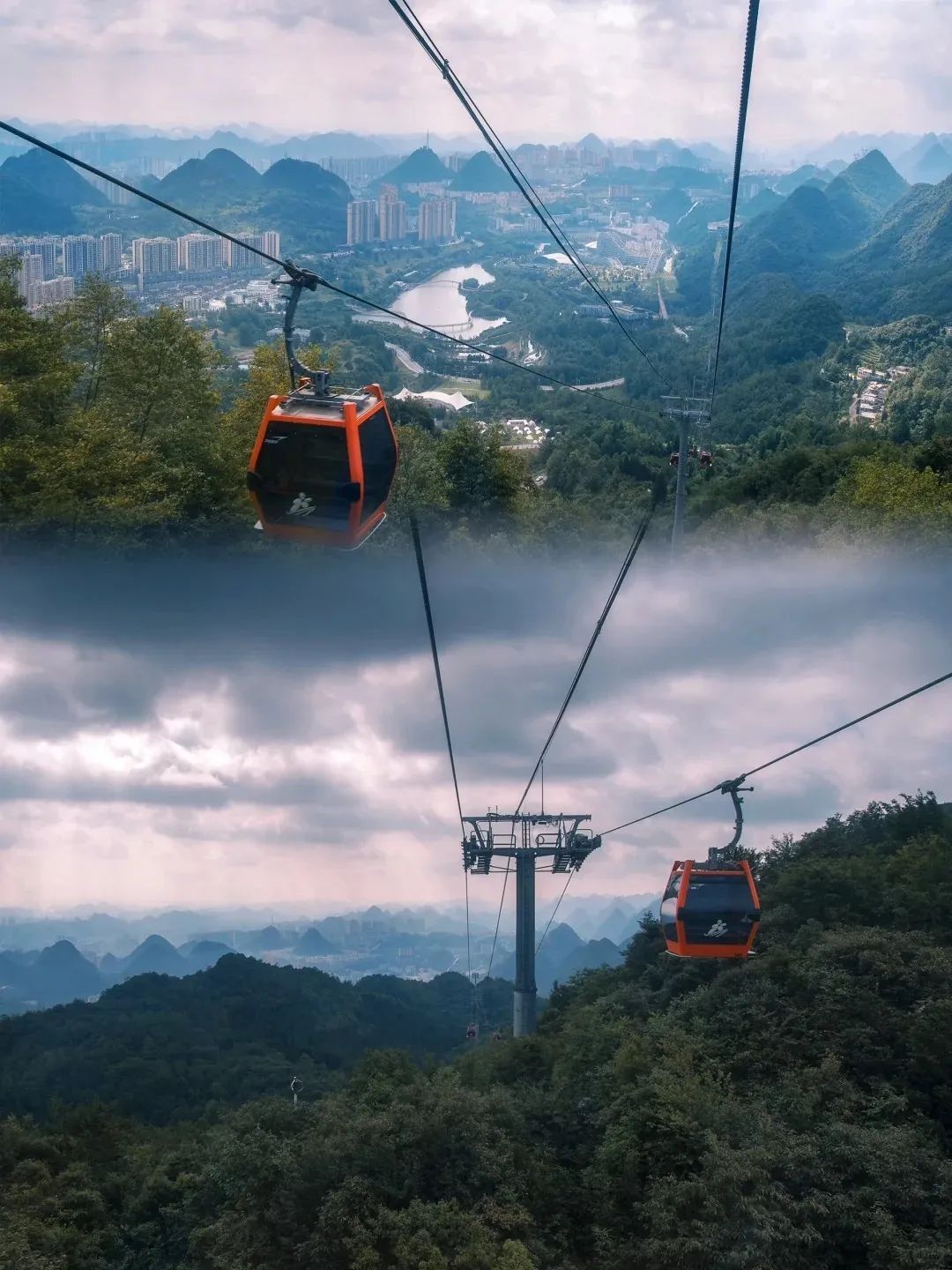 中国凉都·梅花山旅游景区旅行图片 3