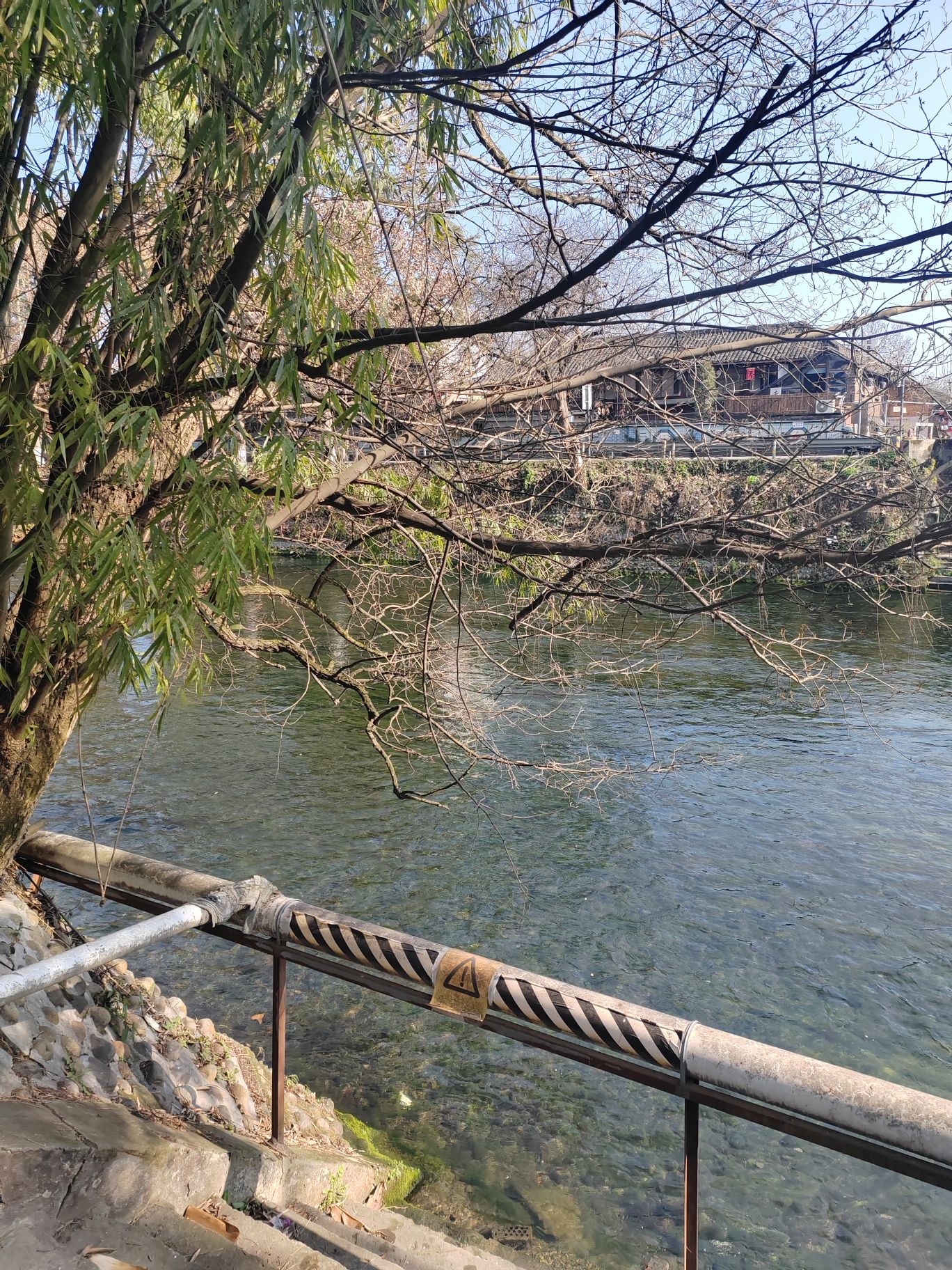 杨公社区臻爱田园旅行图片 2