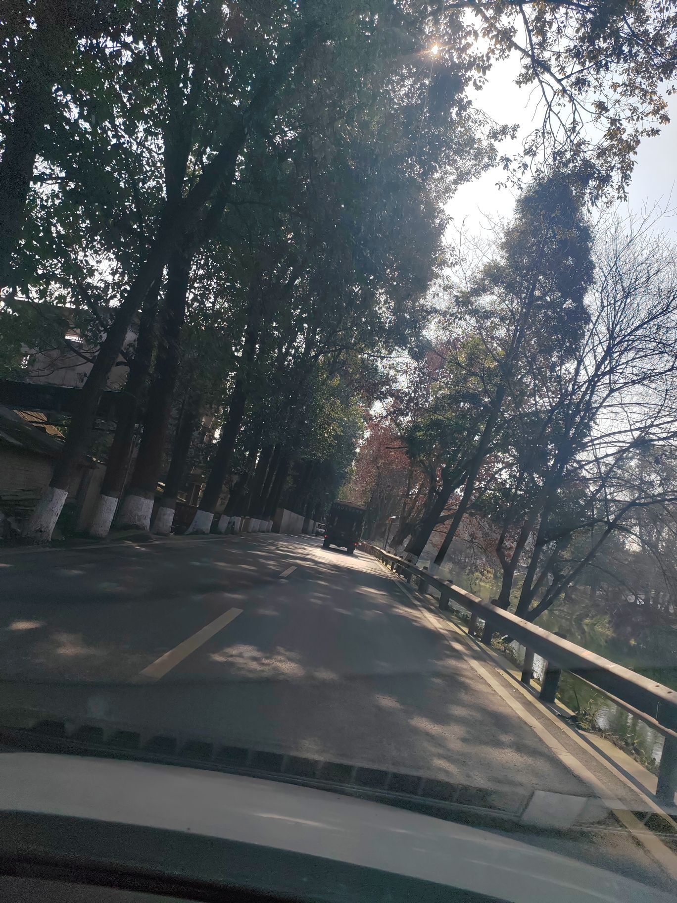 杨公社区臻爱田园旅行图片 3