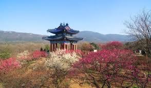 梅花山梦幻激情谷旅行图片 1