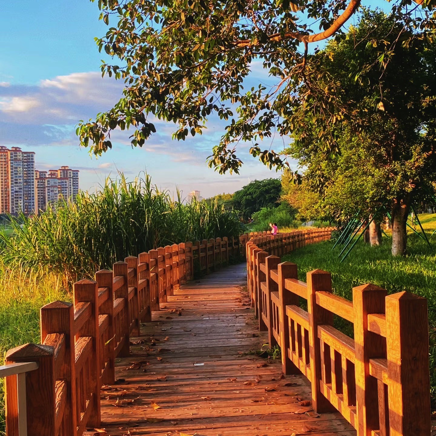 淡水半岛滨水公园旅行图片 2