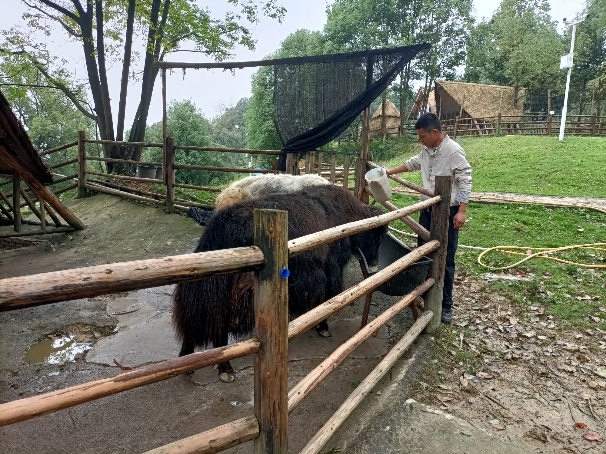 乐淇的庄园旅行图片 2
