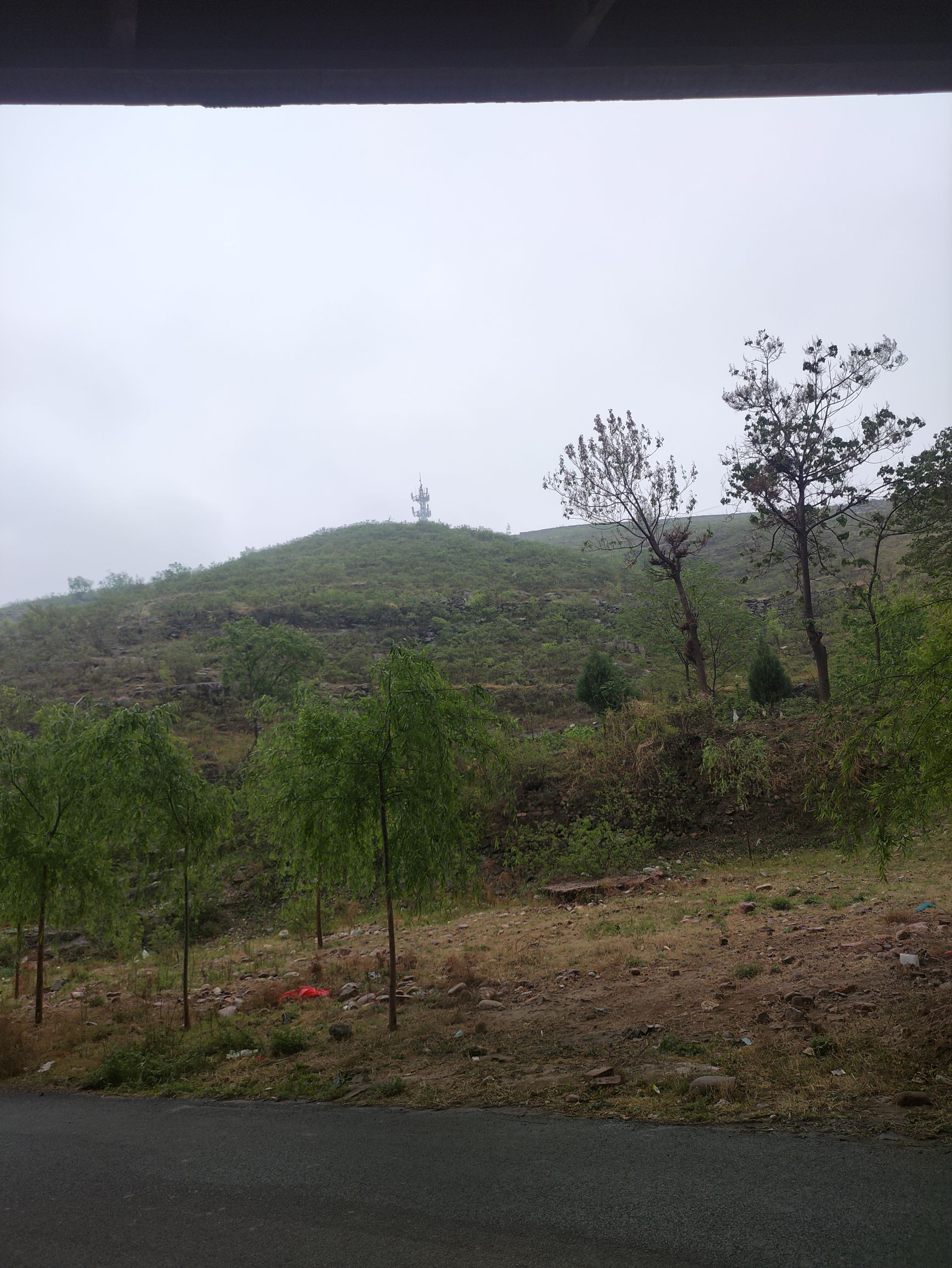 摩崖石刻旅行图片