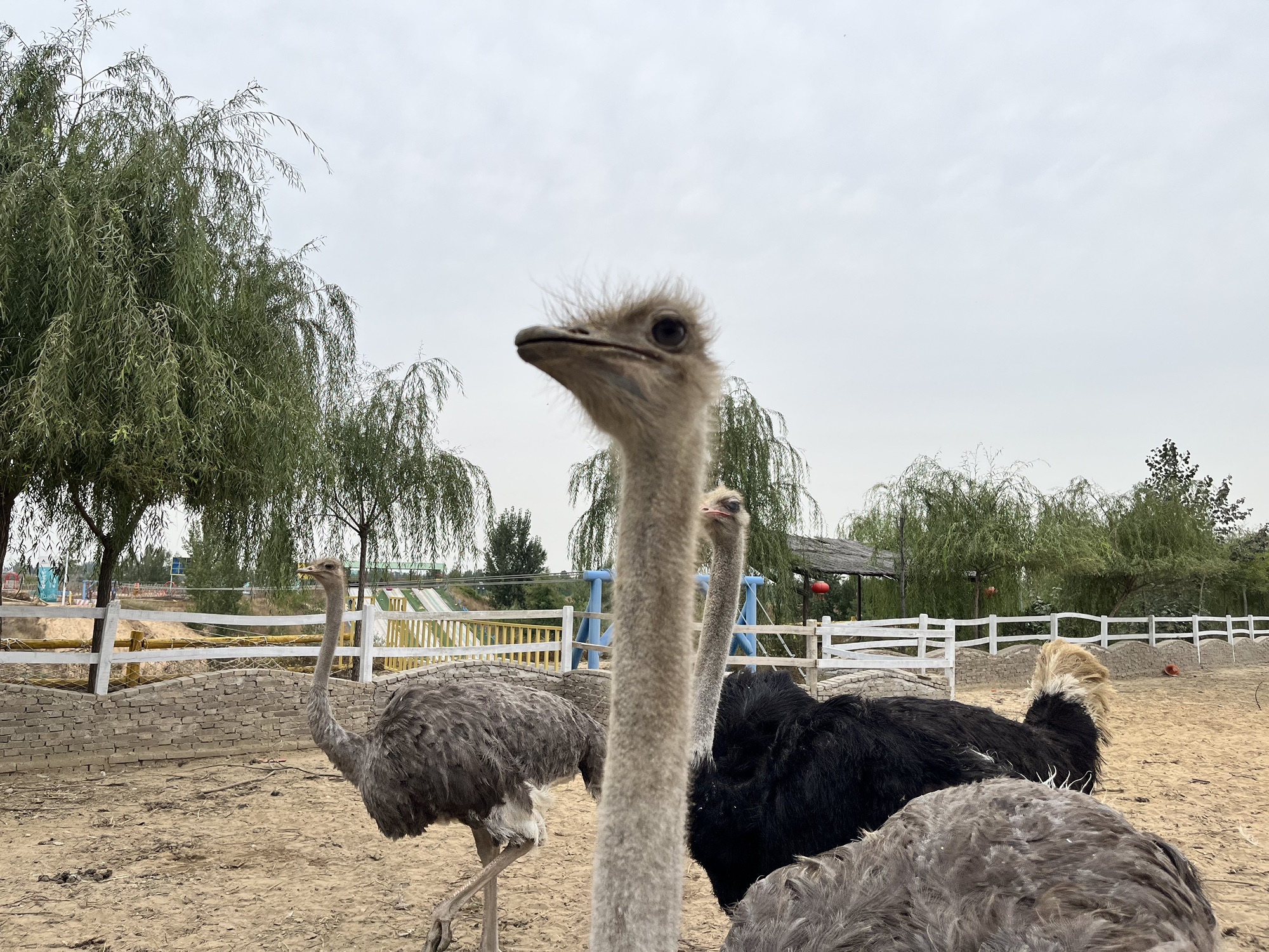 觅道31号营地旅行图片 2