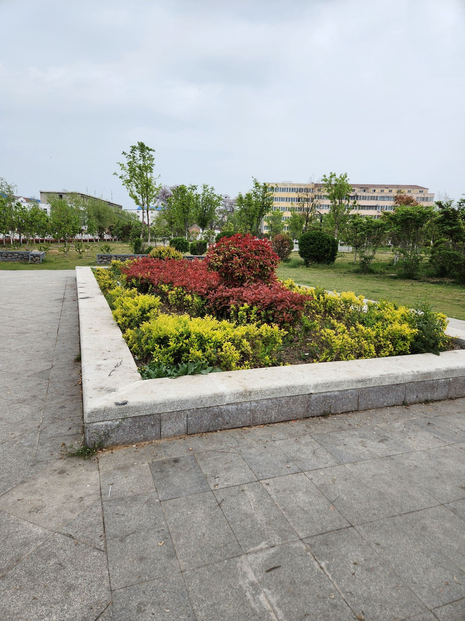 连心园旅行图片 2
