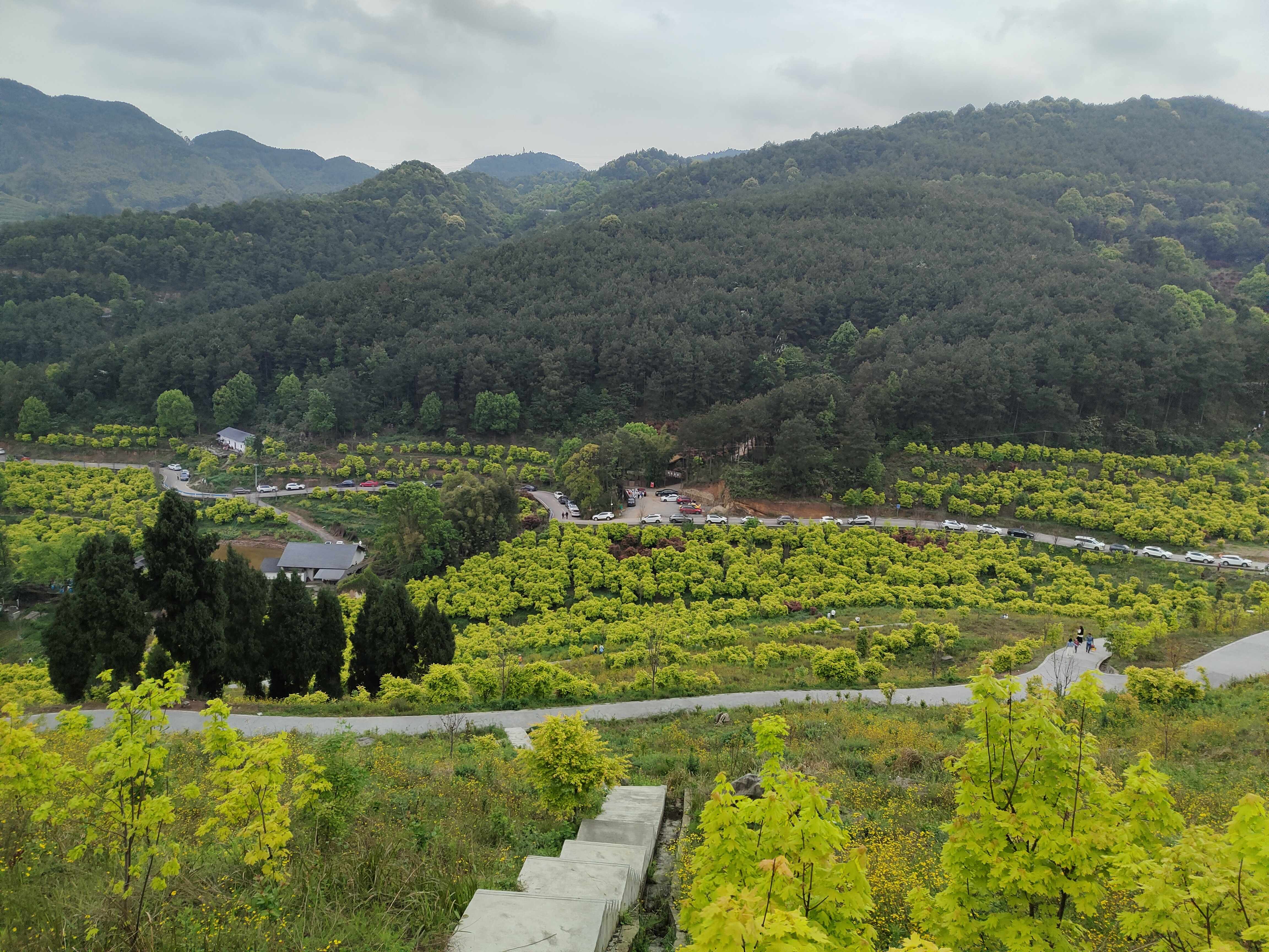 重庆黄金谷旅行图片 3