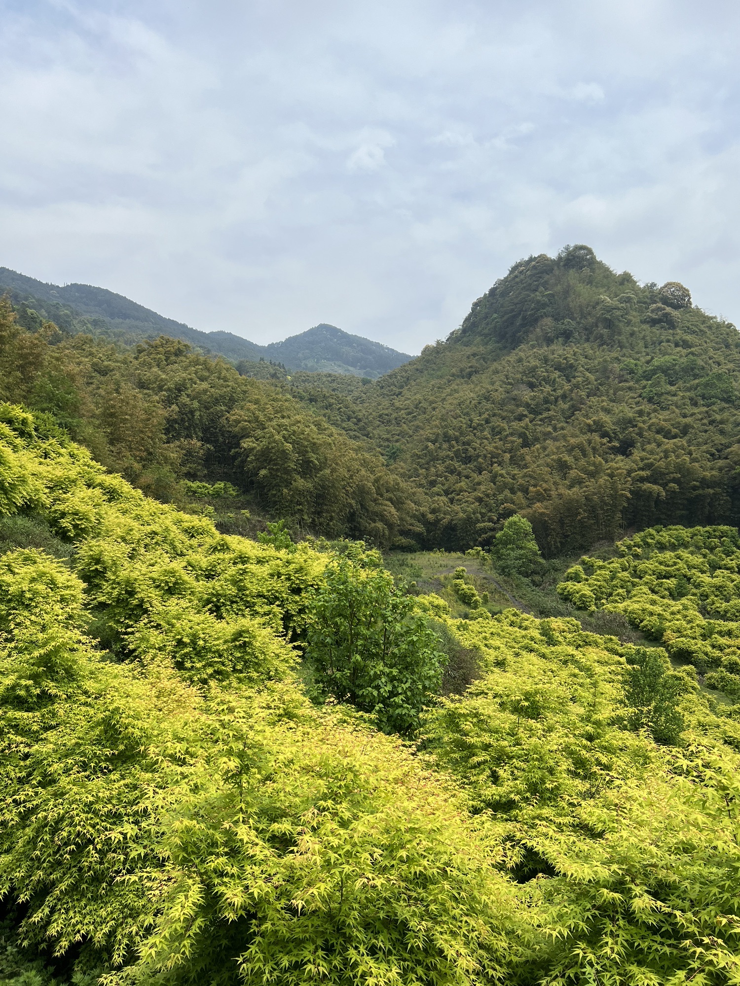 重庆黄金谷旅行图片 1