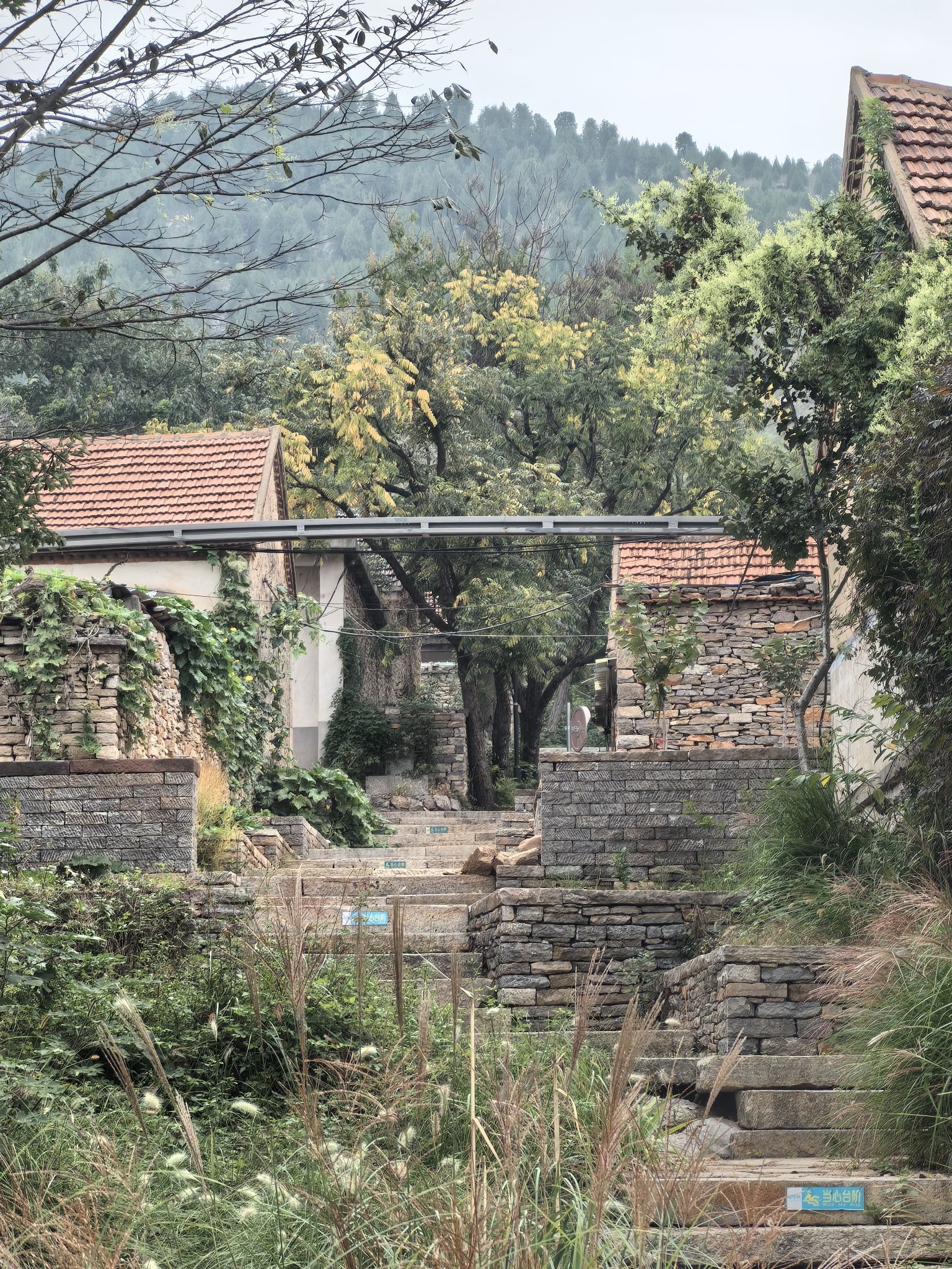 朱家林旅游区旅行图片 3