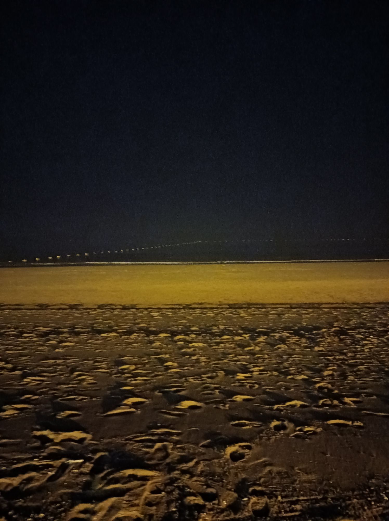 万平口海洋公园旅行图片 2
