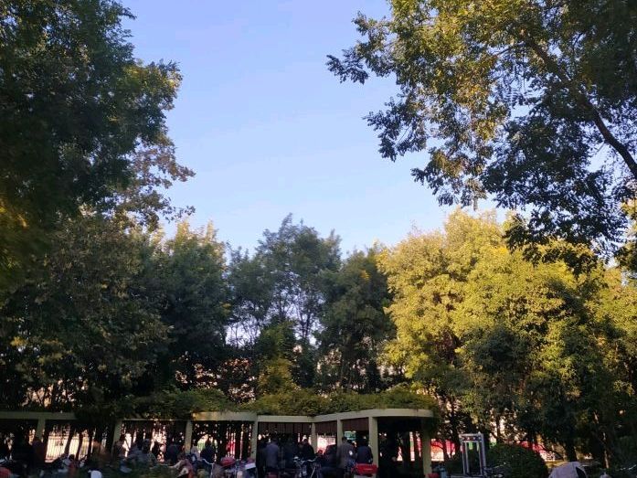 庄晴园旅行图片 1