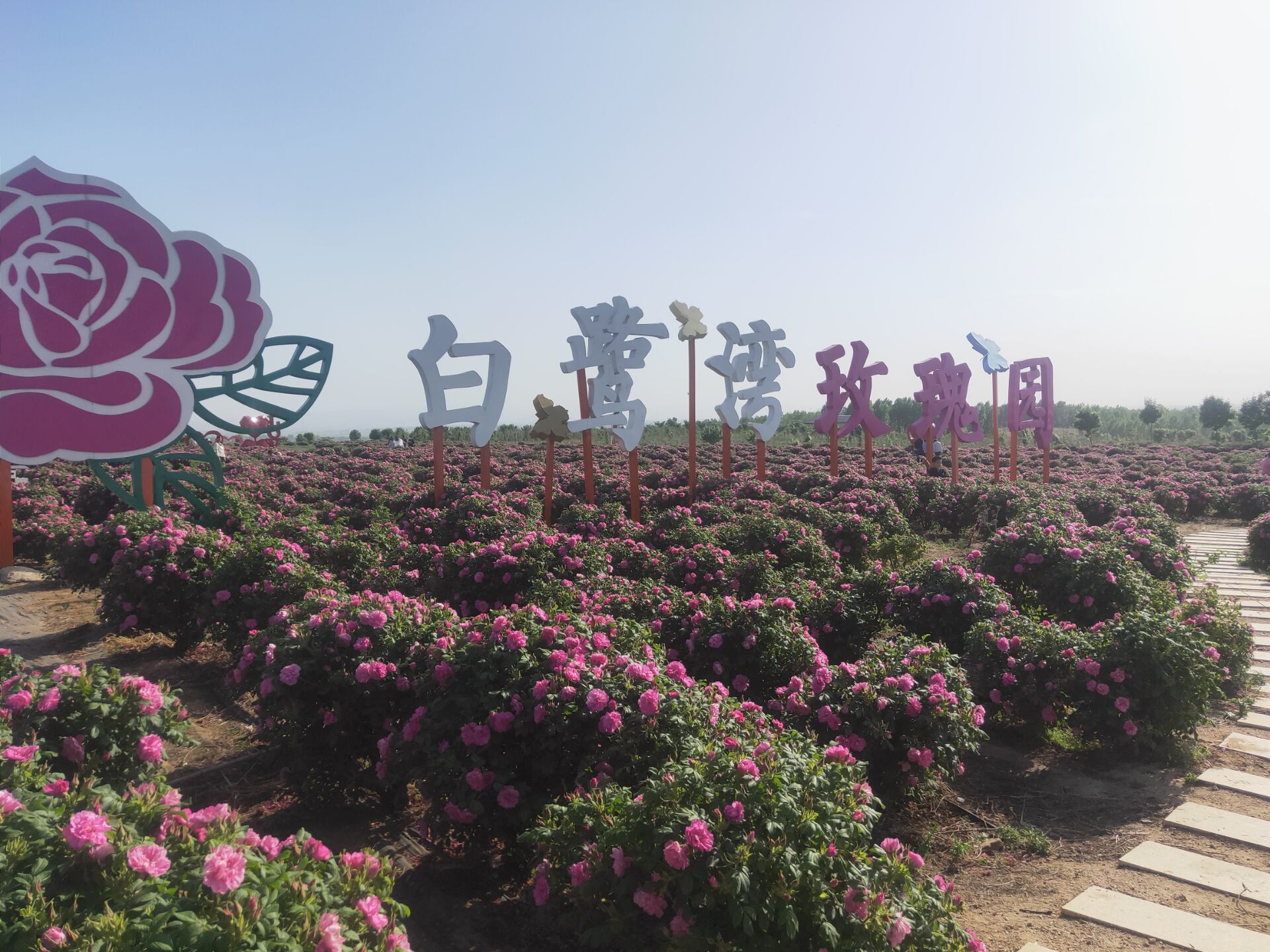 白鹭湾生态旅游区旅行图片 1