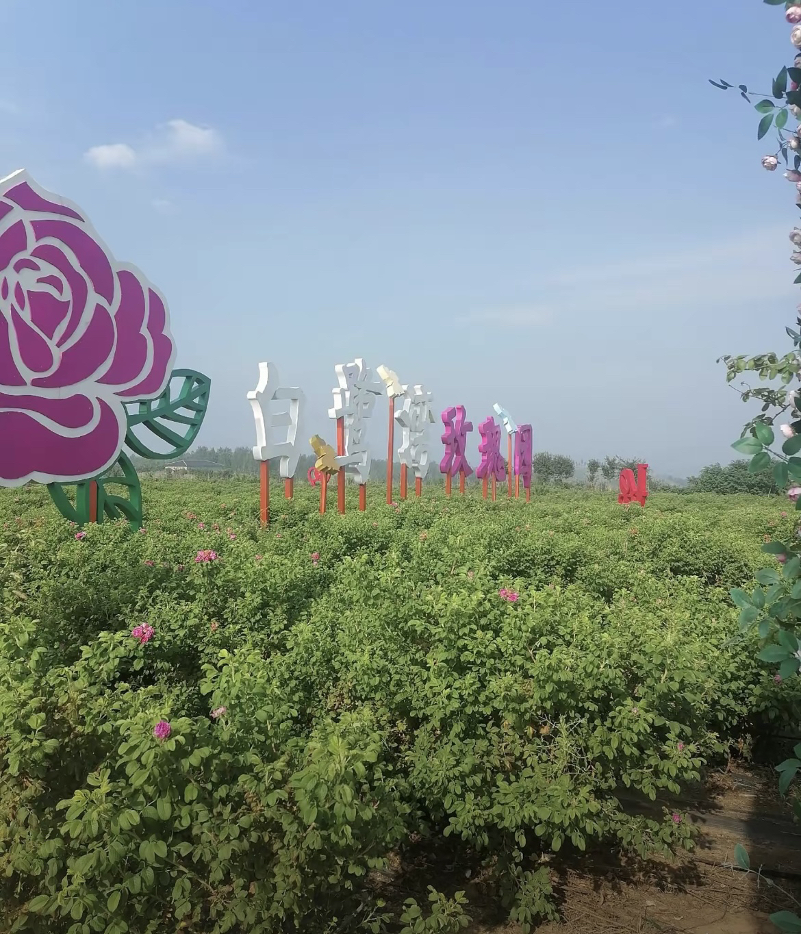 白鹭湾生态旅游区旅行图片 2