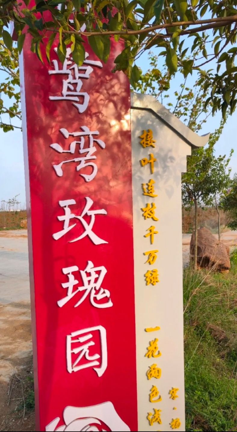 白鹭湾生态旅游区旅行图片 1