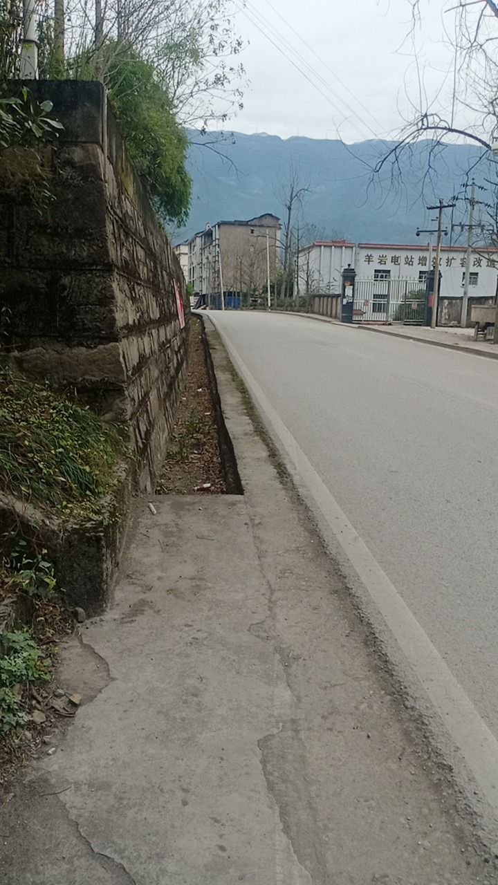 鲤鱼石公园旅行图片 3