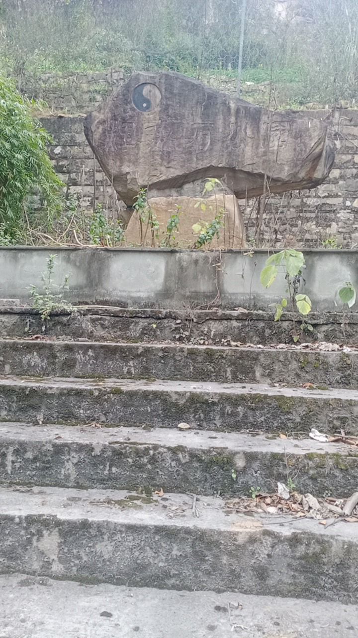鲤鱼石公园旅行图片 1
