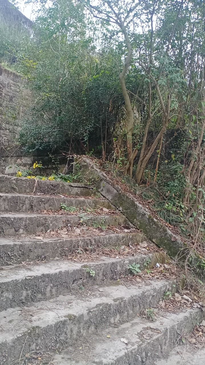 鲤鱼石公园旅行图片 2