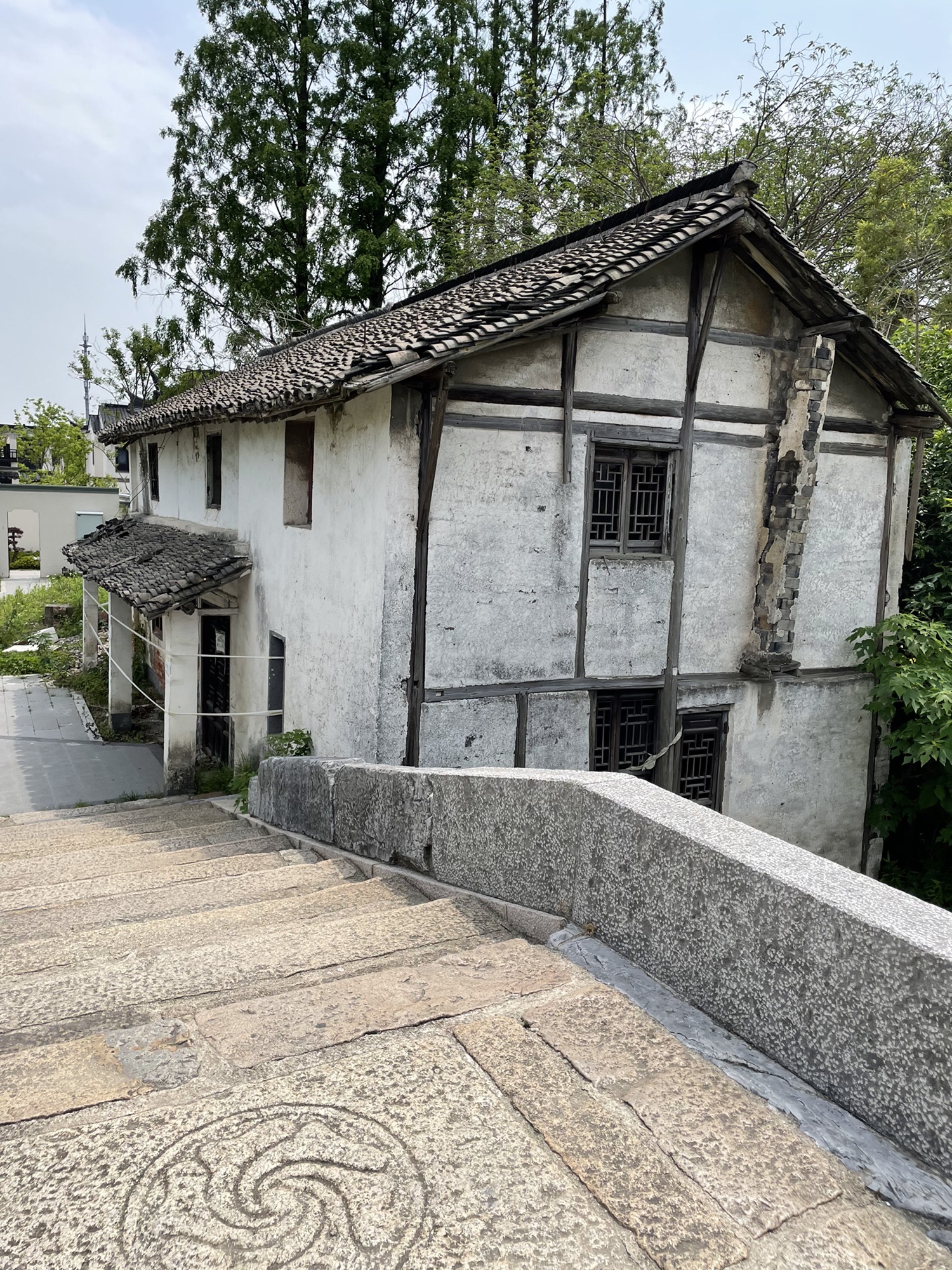 章堰古镇旅行图片 3