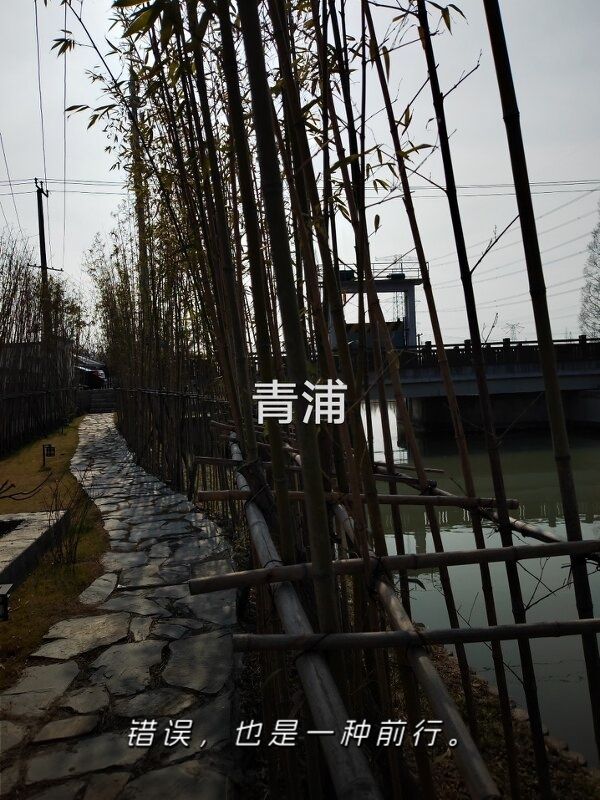 章堰古镇旅行图片 1