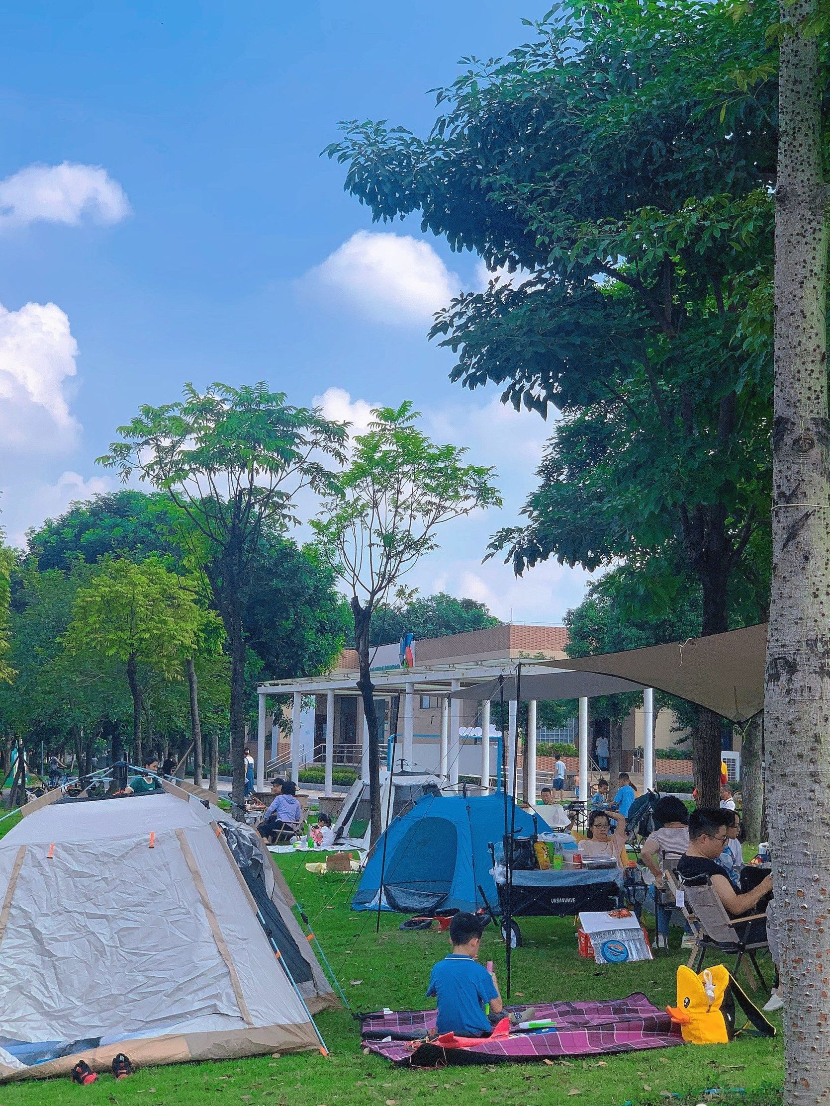 大良镇公园旅行图片 1