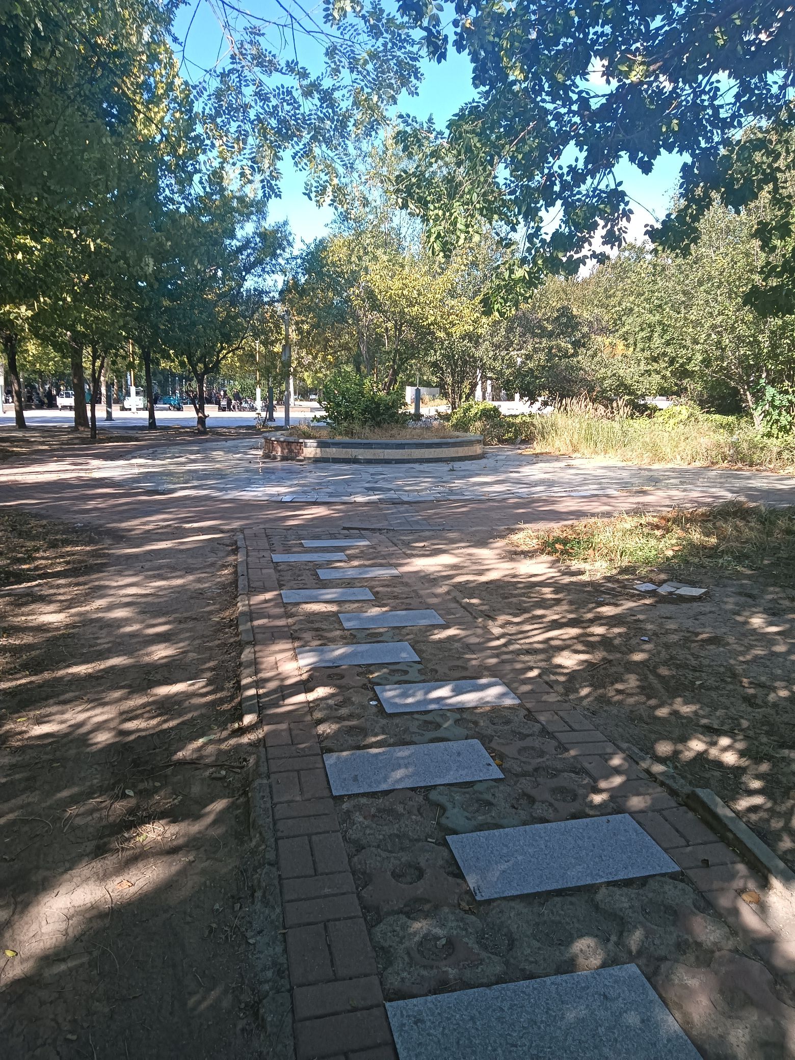 大良镇公园旅行图片 1