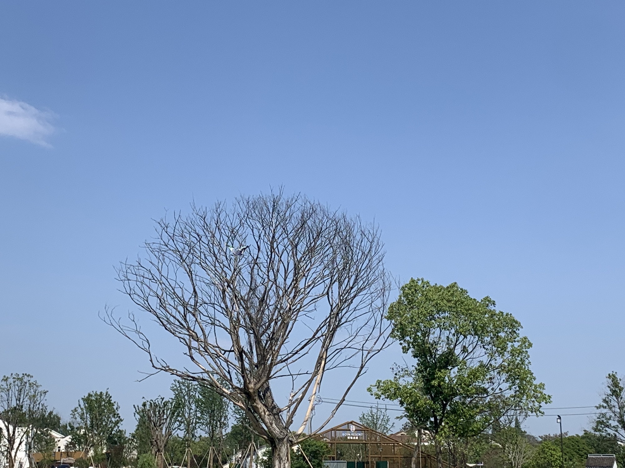 世界乡村旅游小镇旅行图片 2