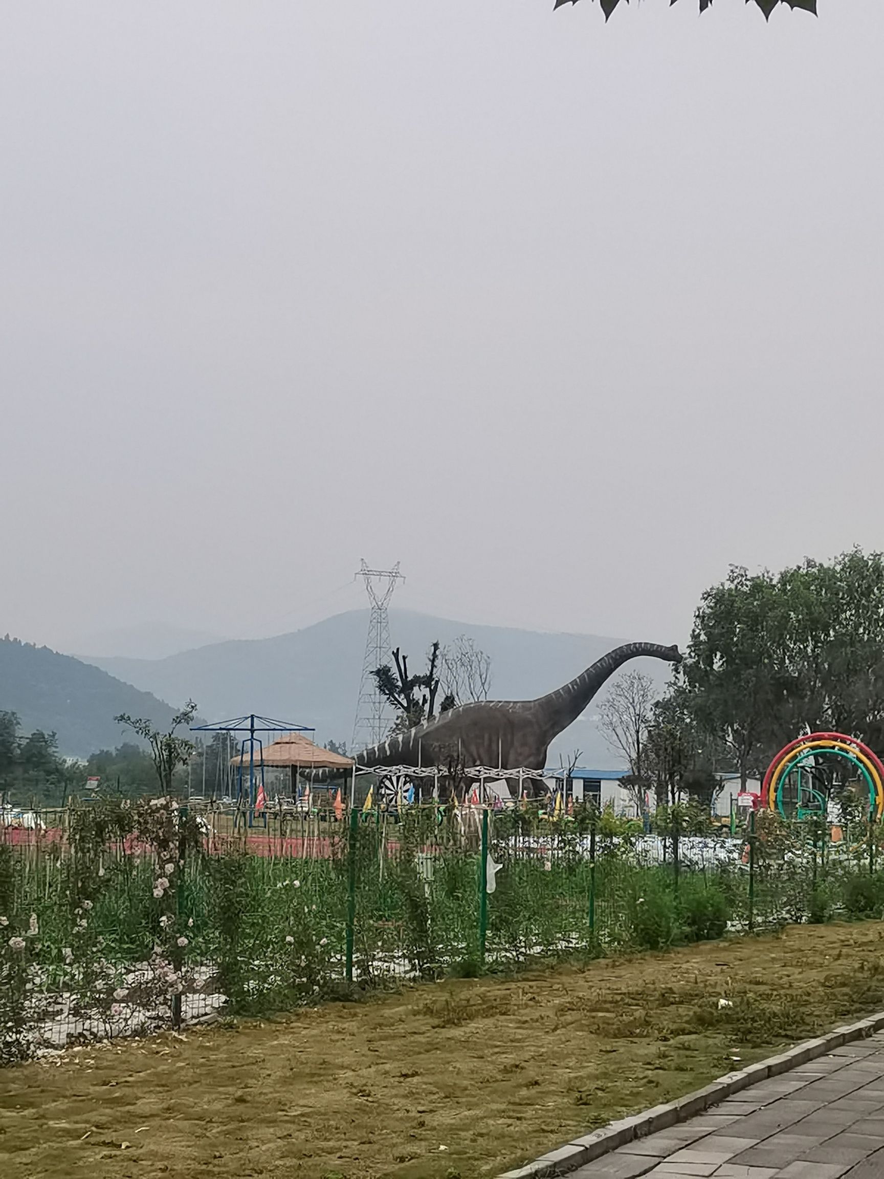 龙韵村船头旅行图片 1