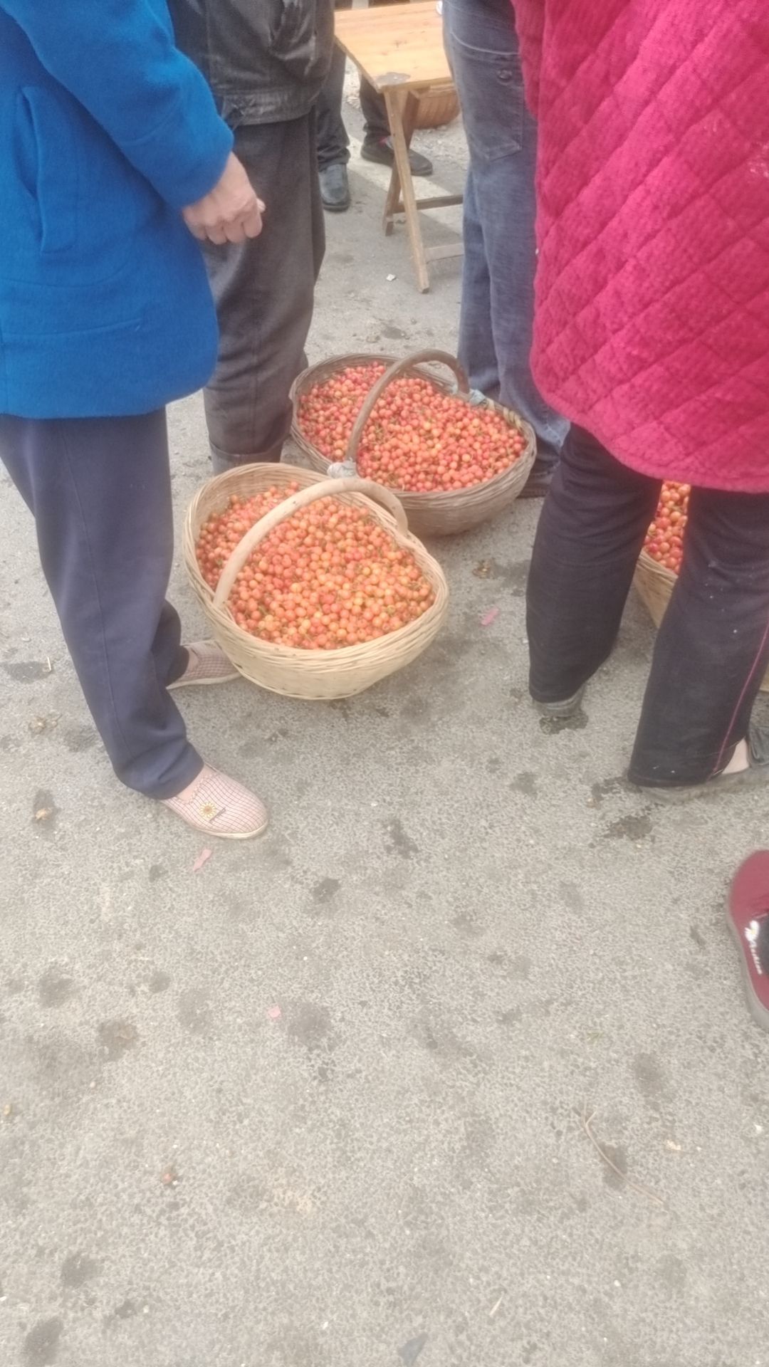 镇平樱桃沟旅行图片 3