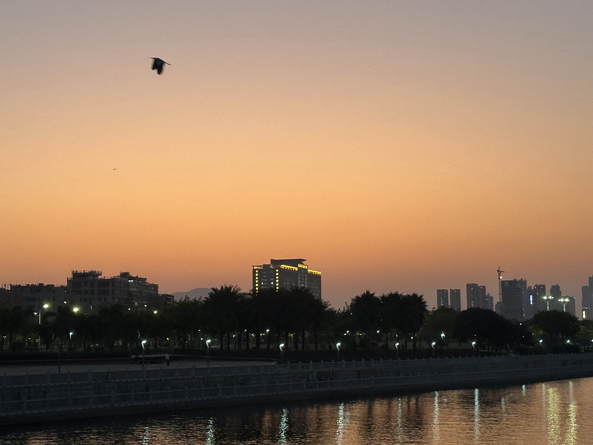 马銮湾生态三岛公园旅行图片 1