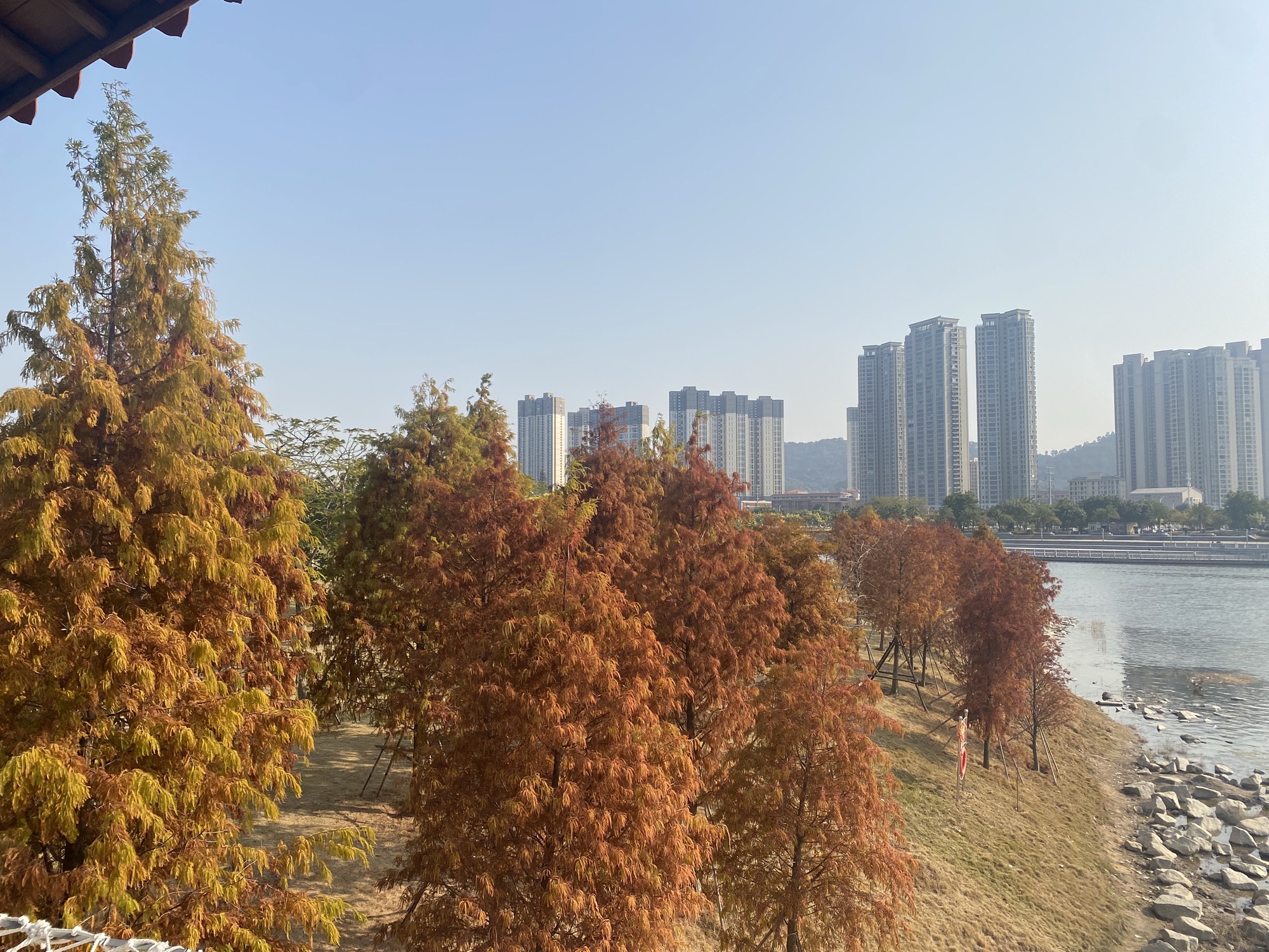 马銮湾生态三岛公园旅行图片 1