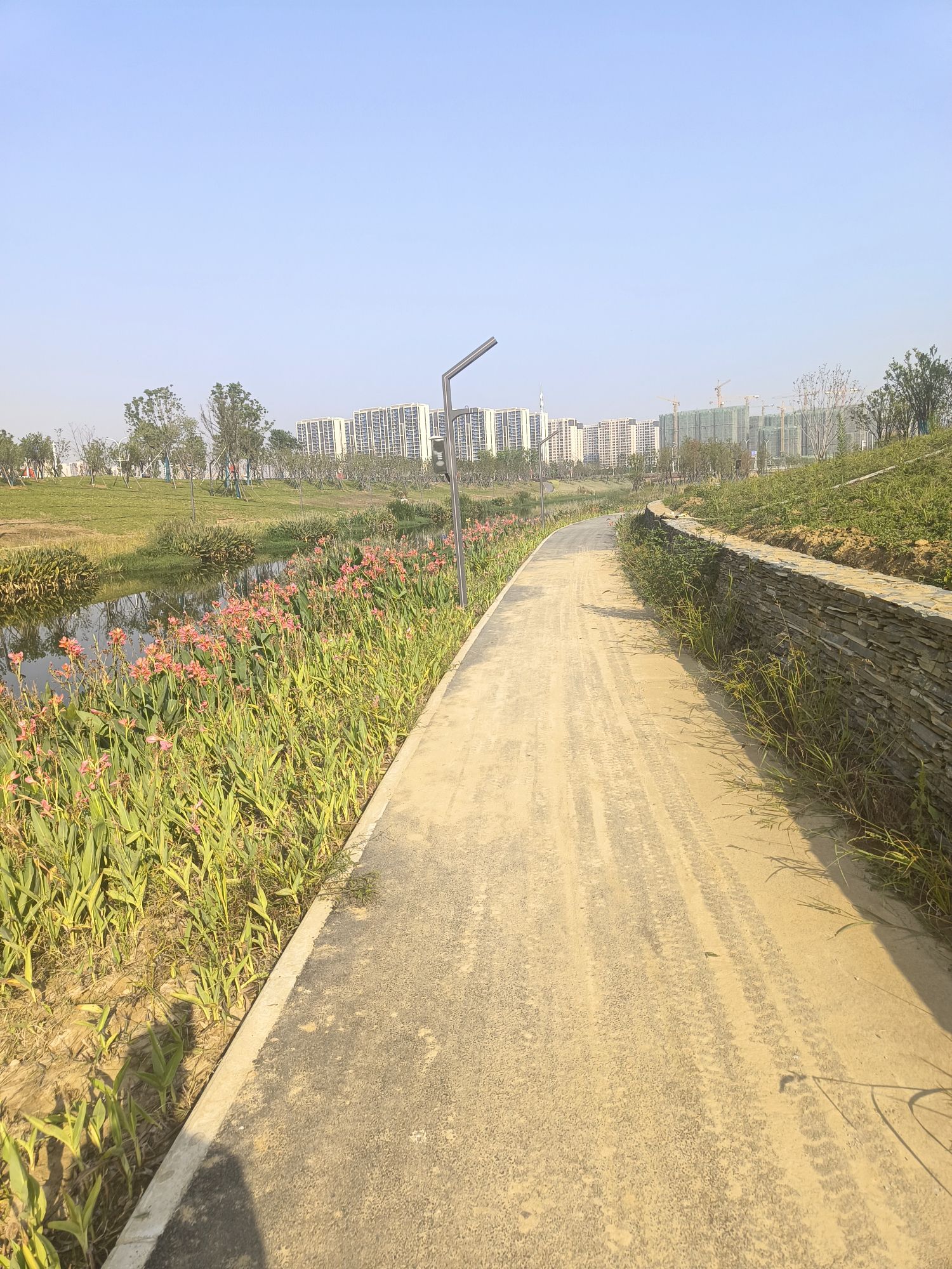 中央明渠樱花溪公园旅行图片 2