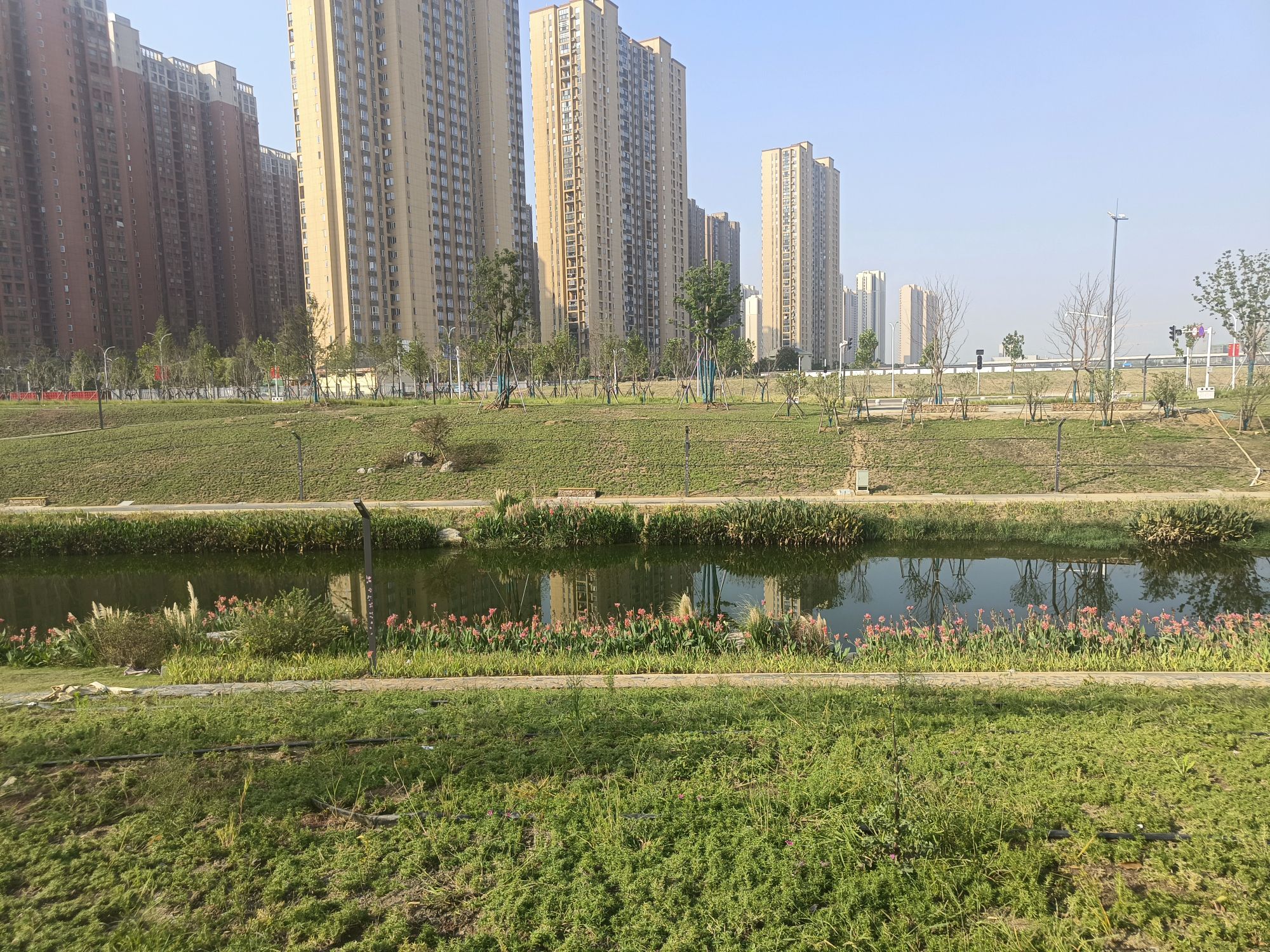 中央明渠樱花溪公园旅行图片 1
