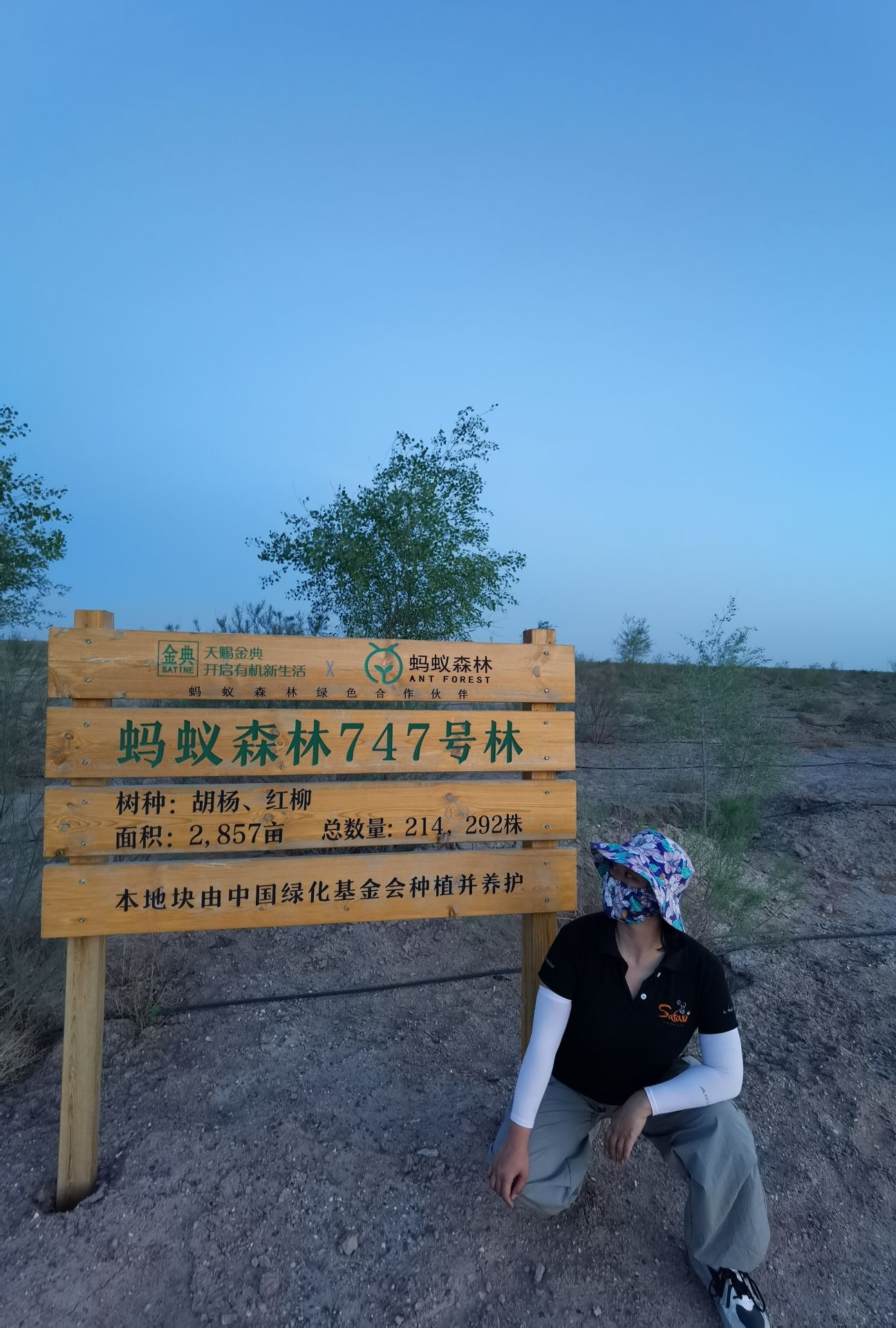 蚂蚁森林747号林·混交林旅行图片 2