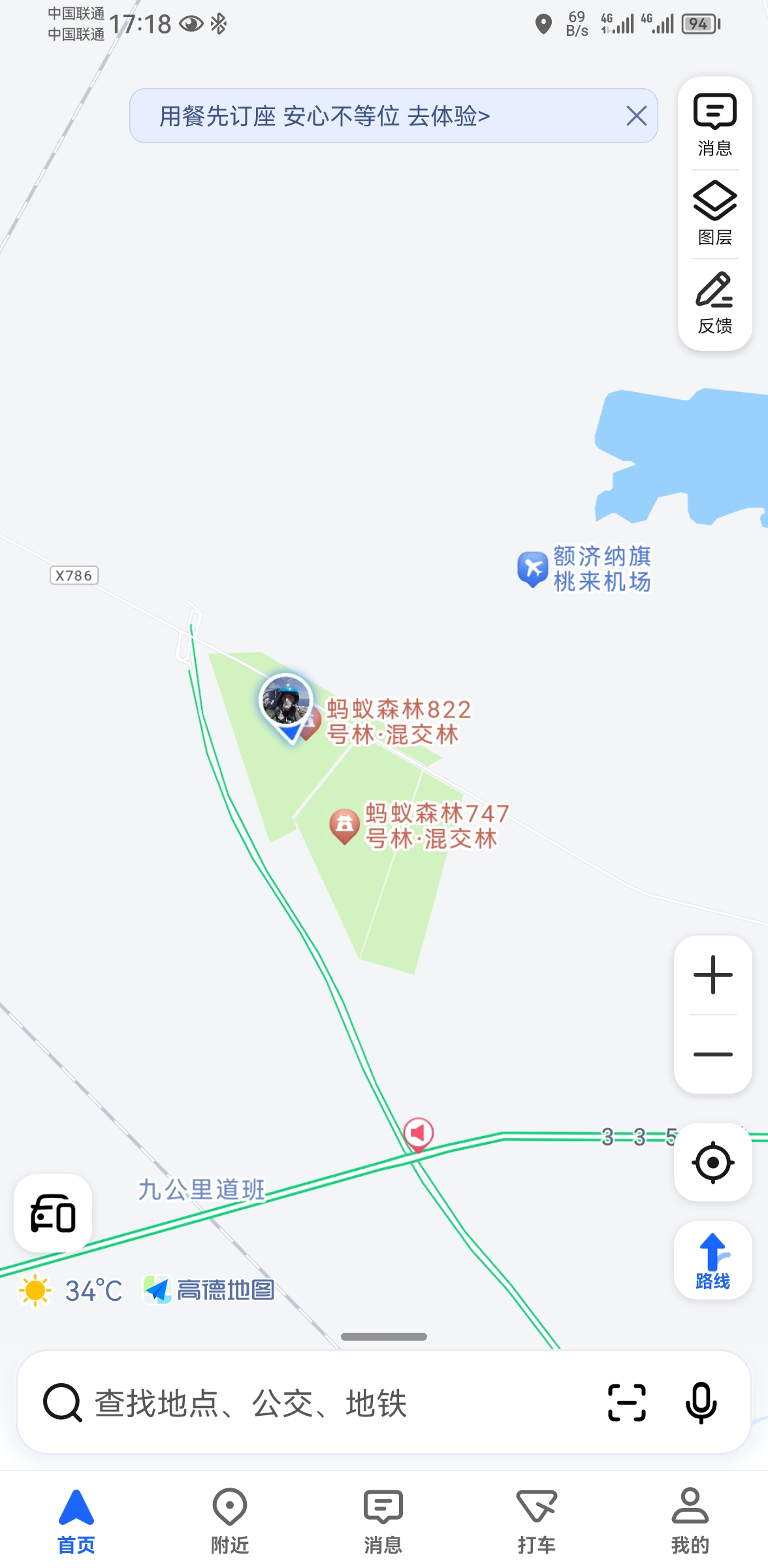 蚂蚁森林747号林·混交林旅行图片 2