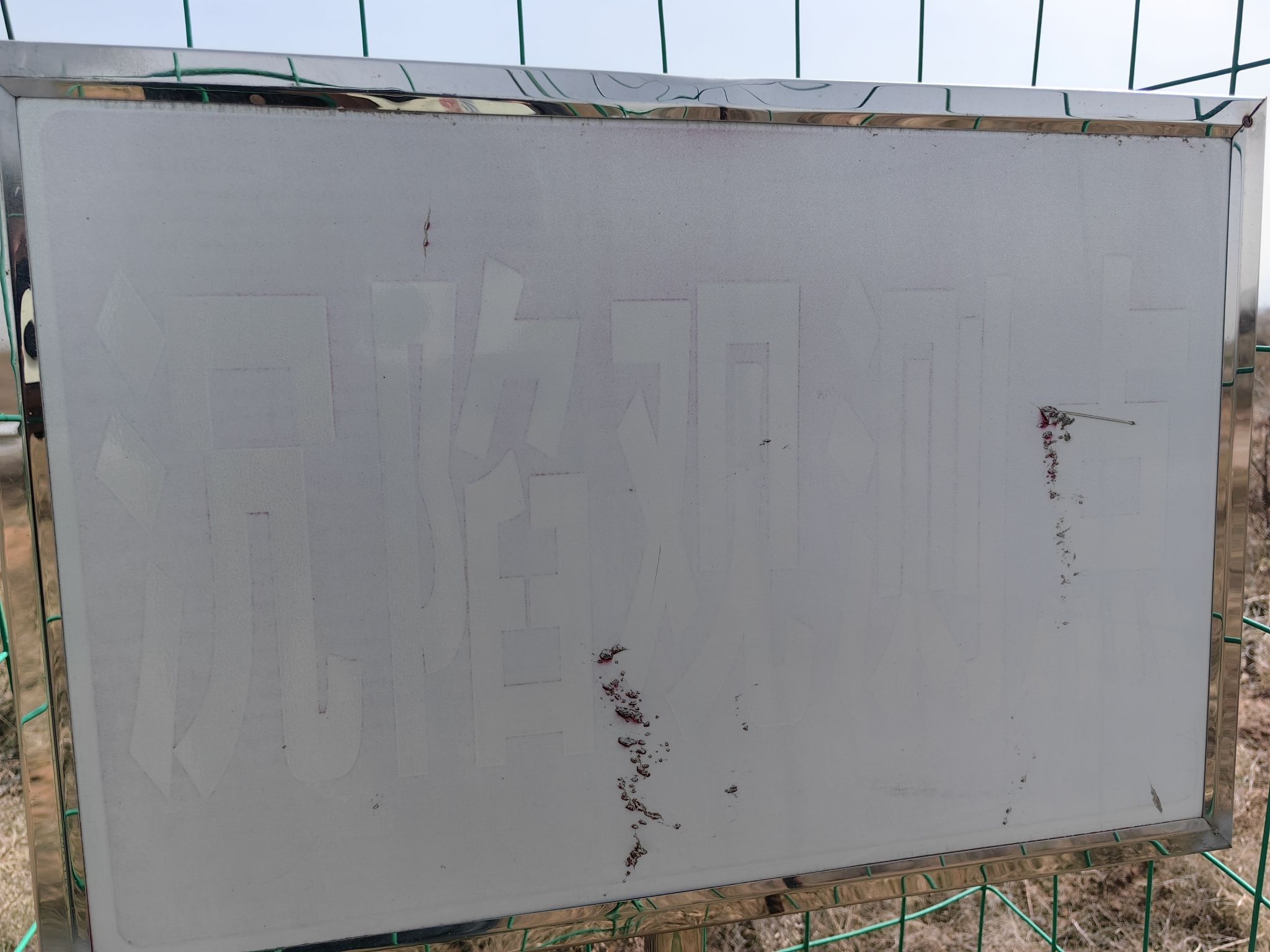 蚂蚁森林619号林·沙柳旅行图片 3