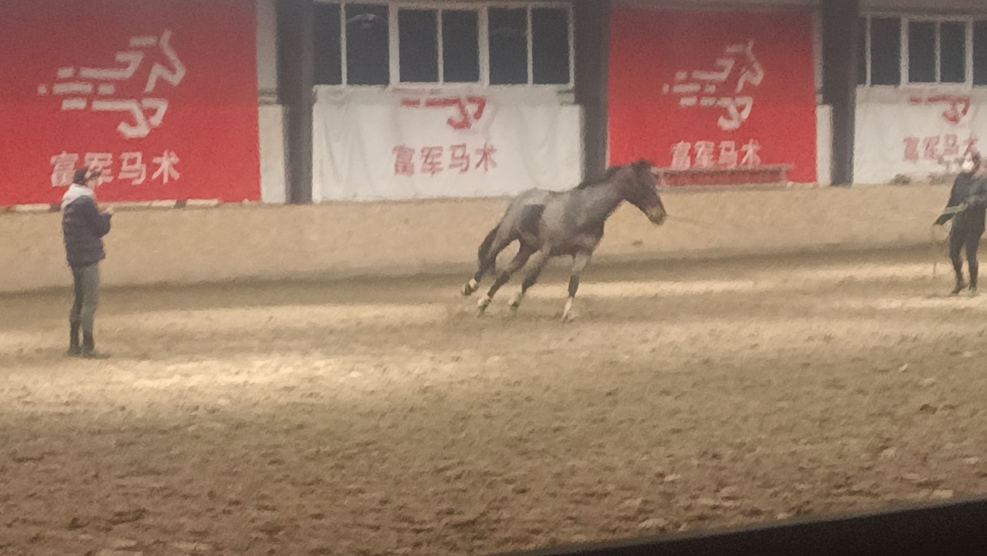 场地封面-富军马术