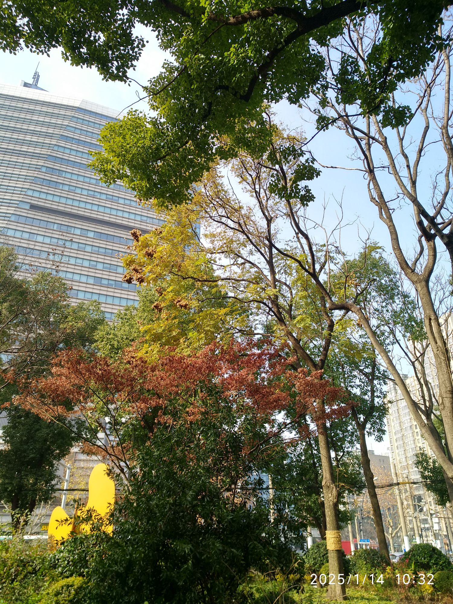 曹家渡绿岛口袋公园旅行图片 2