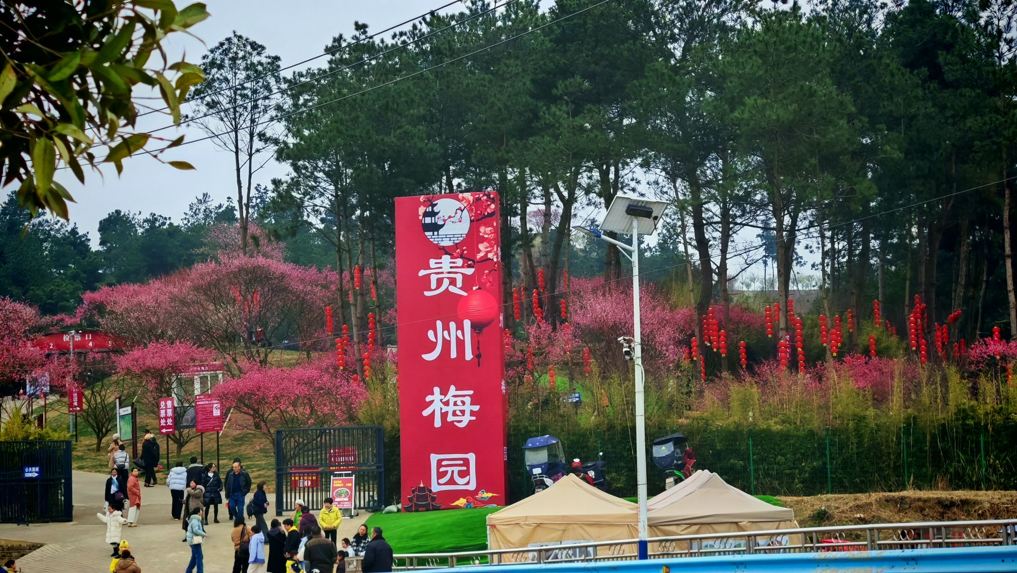 贵州梅园景点图片