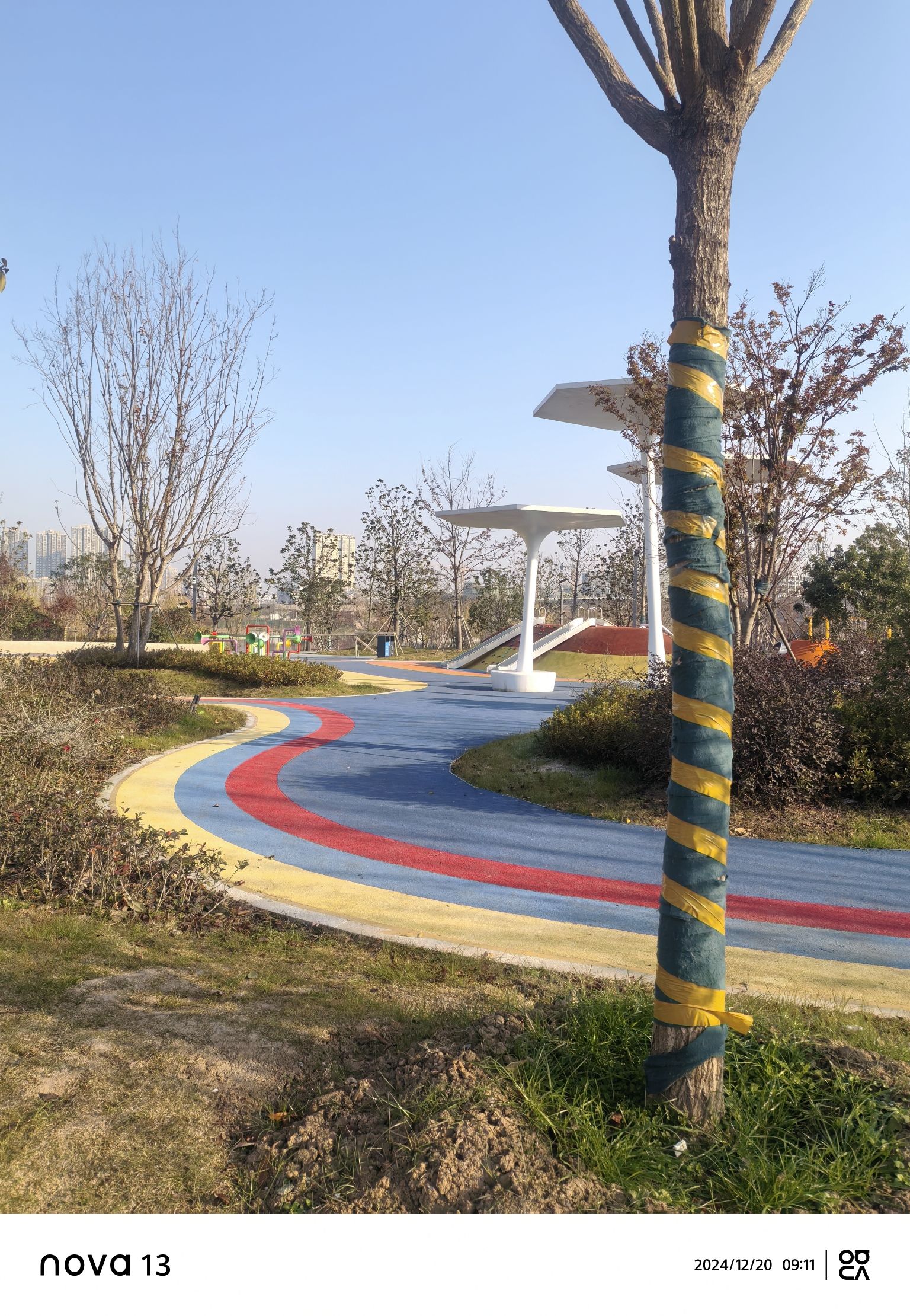 阳湖公园旅行图片 3