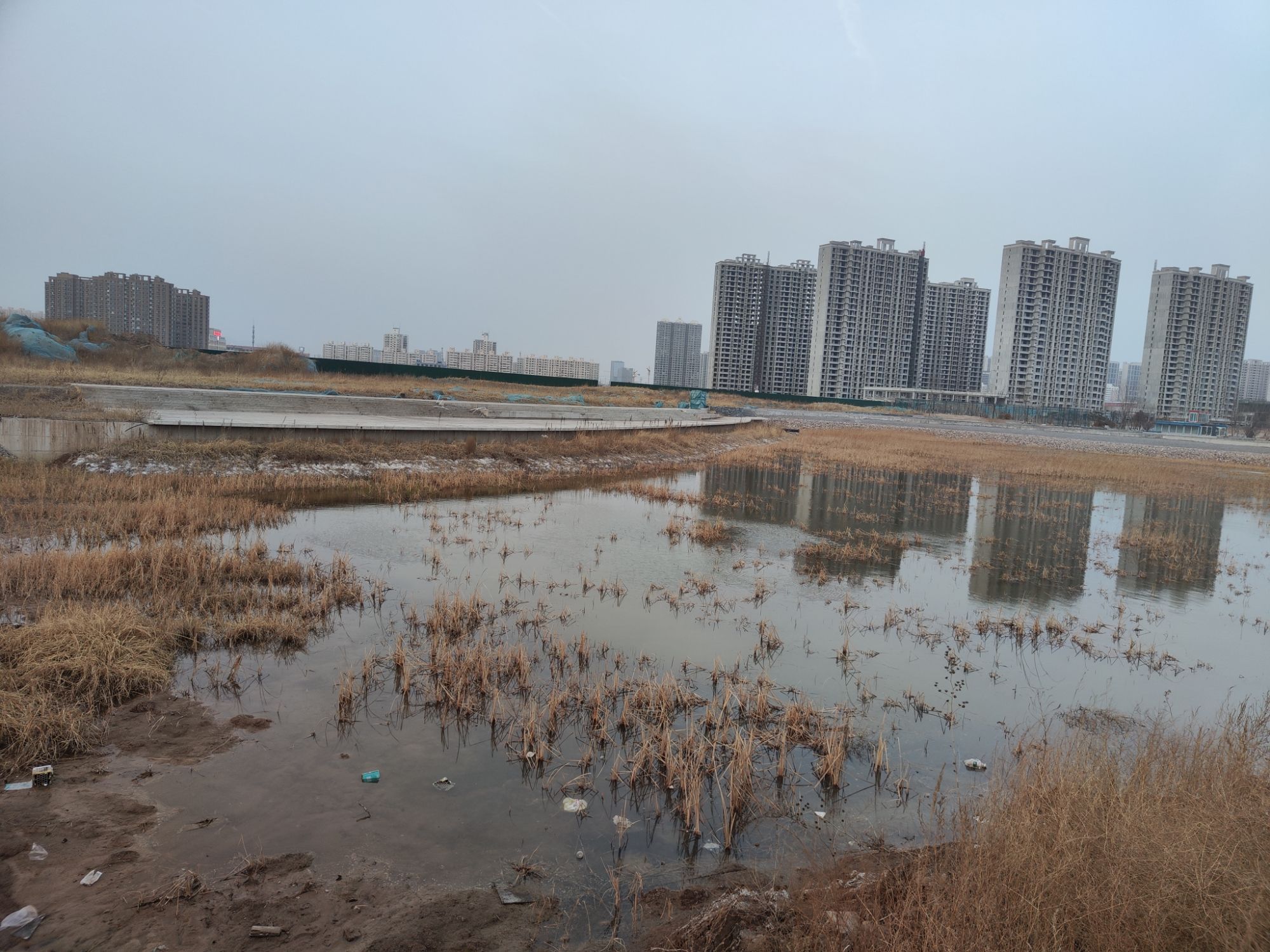 清徐县南湖公园旅行图片 1