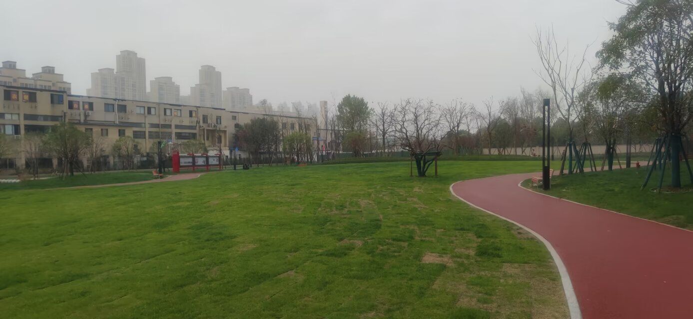 江欣园共同缔造公园旅行图片 2