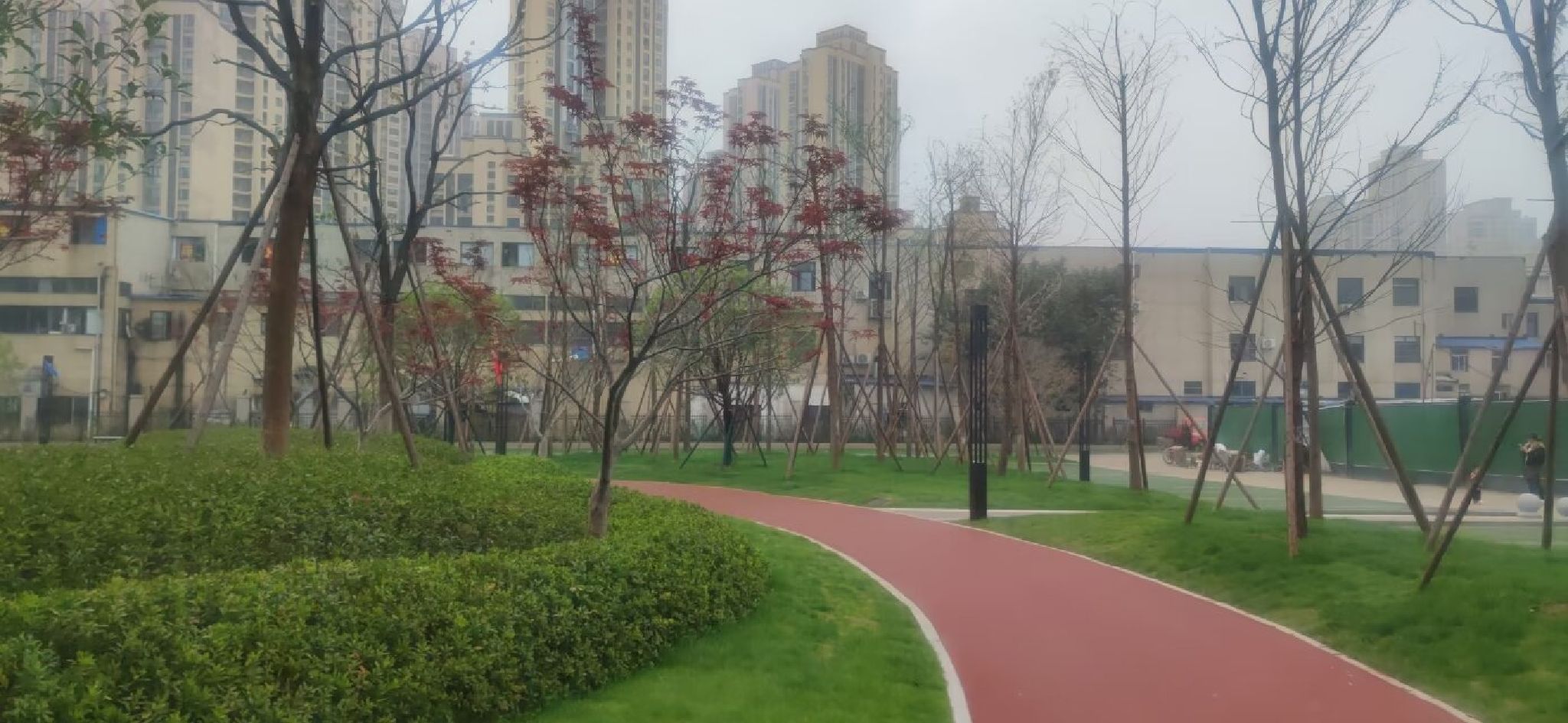 江欣园共同缔造公园旅行图片 1