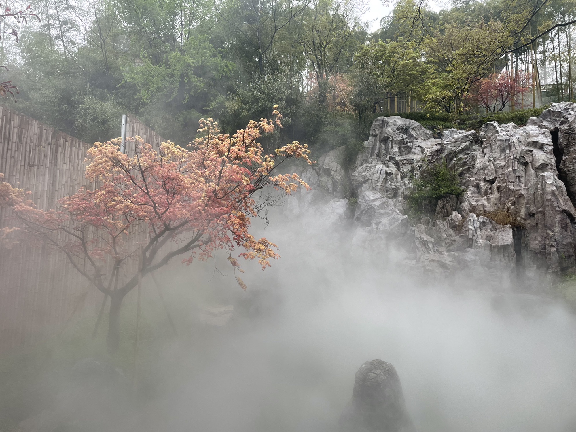 杼山妙境