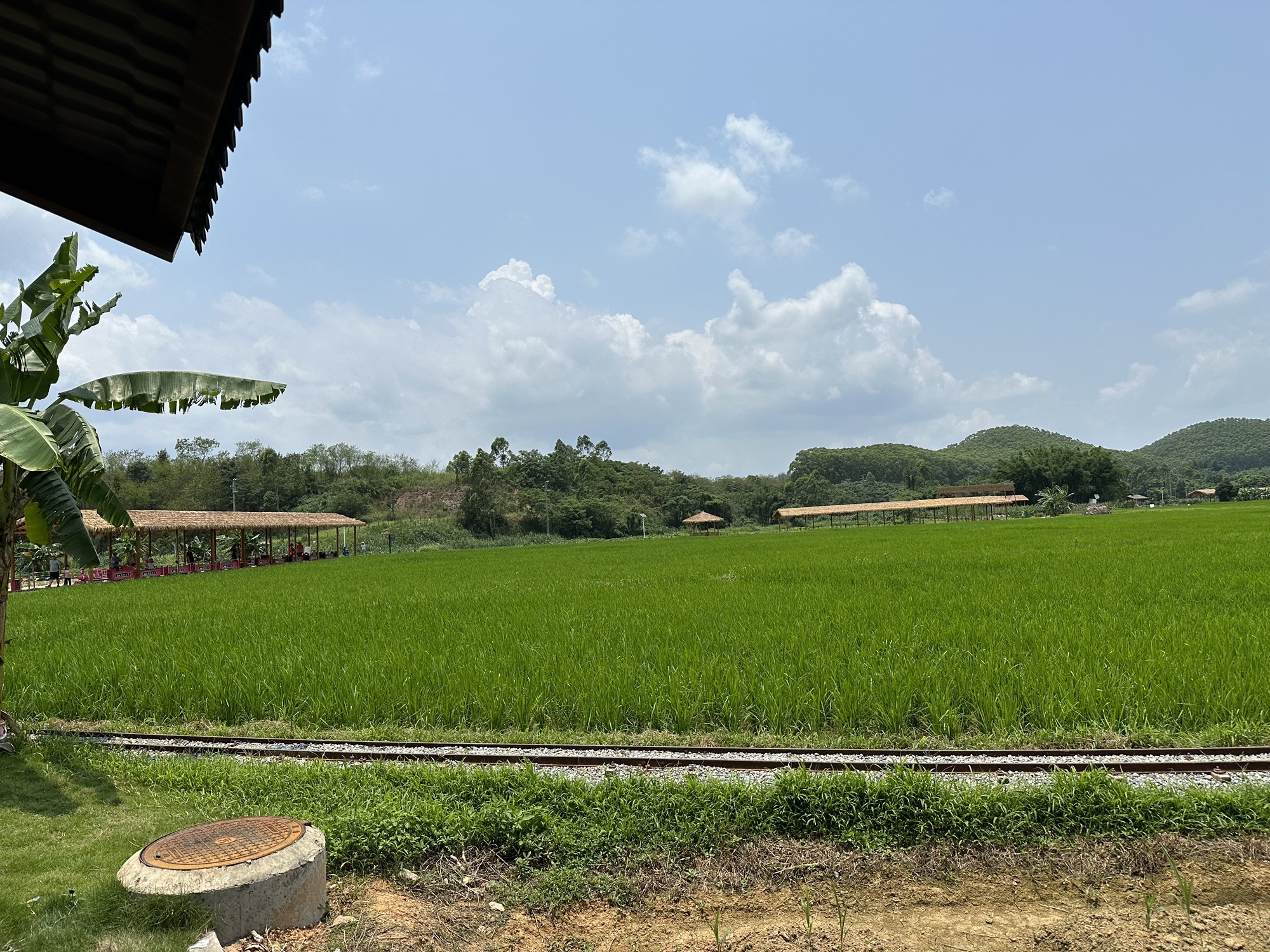 佛山花田喜事生态小镇旅行图片 3