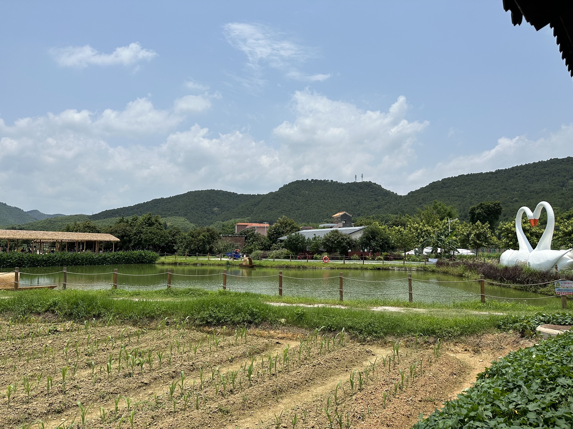 佛山花田喜事生态小镇旅行图片 2