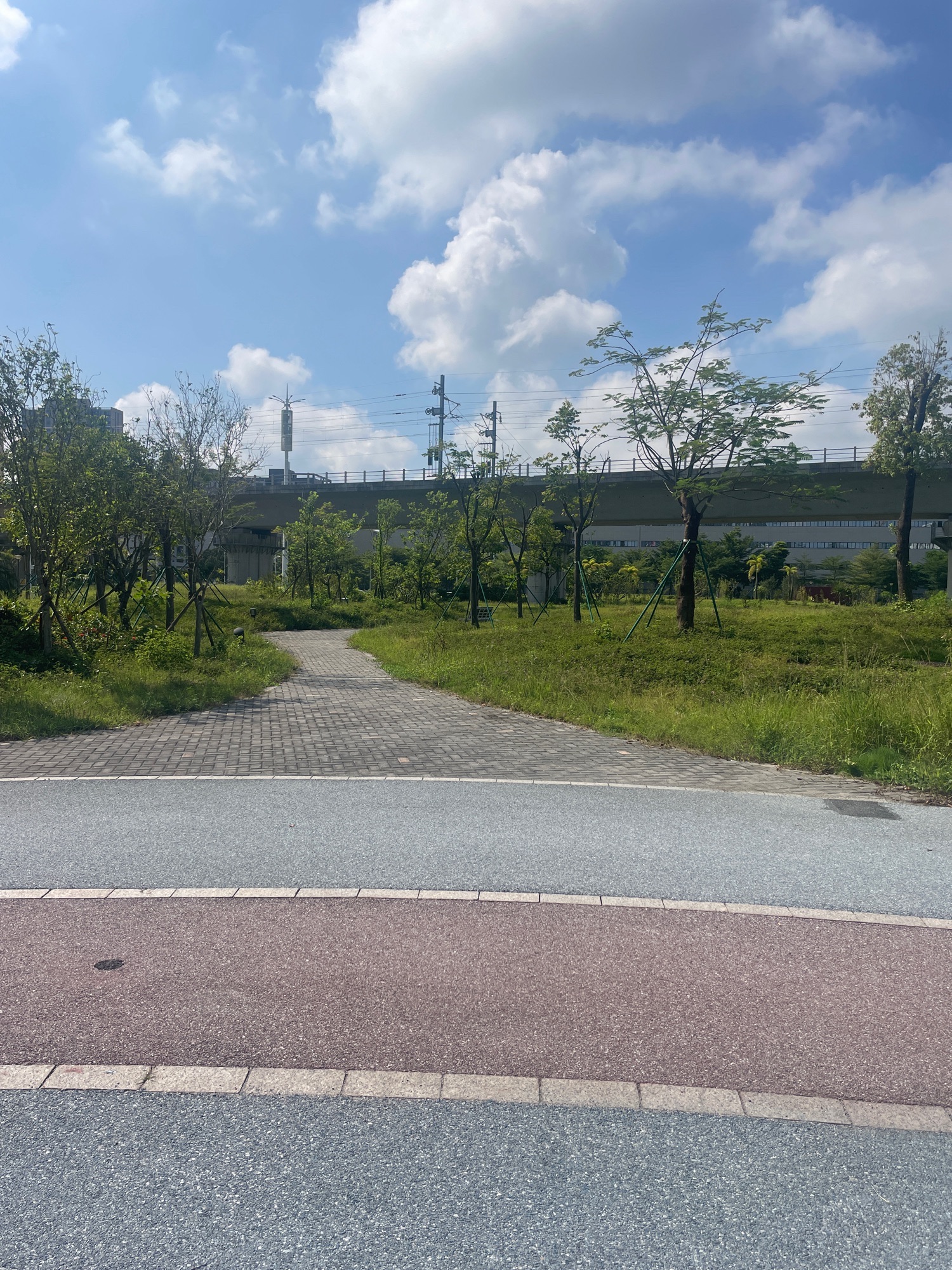 惠南中心公园旅行图片