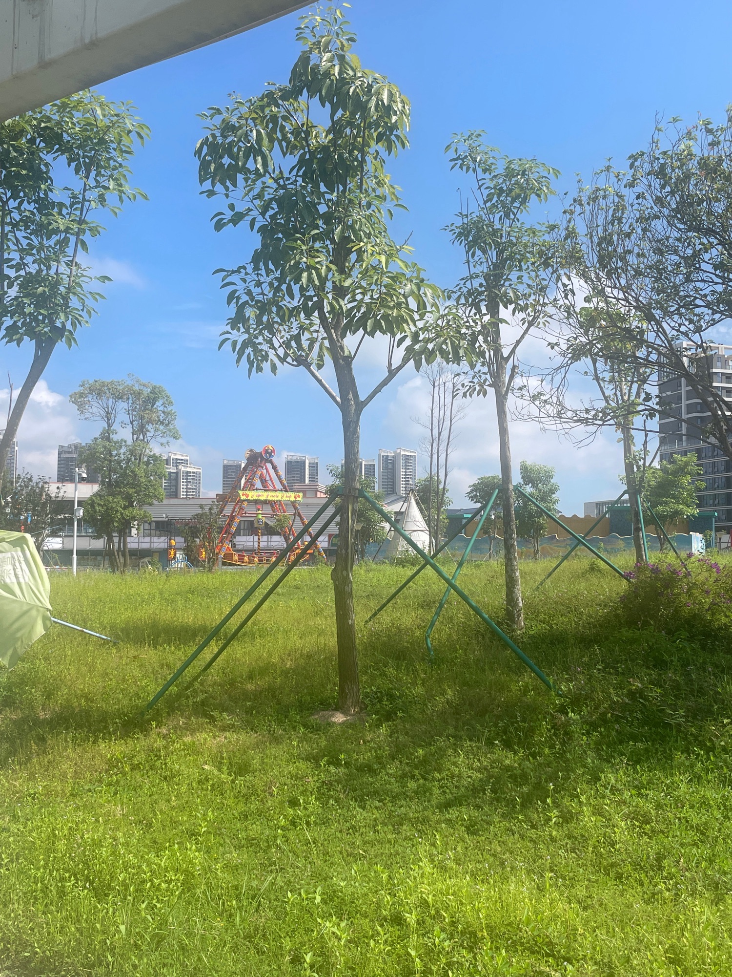 惠南中心公园旅行图片 3