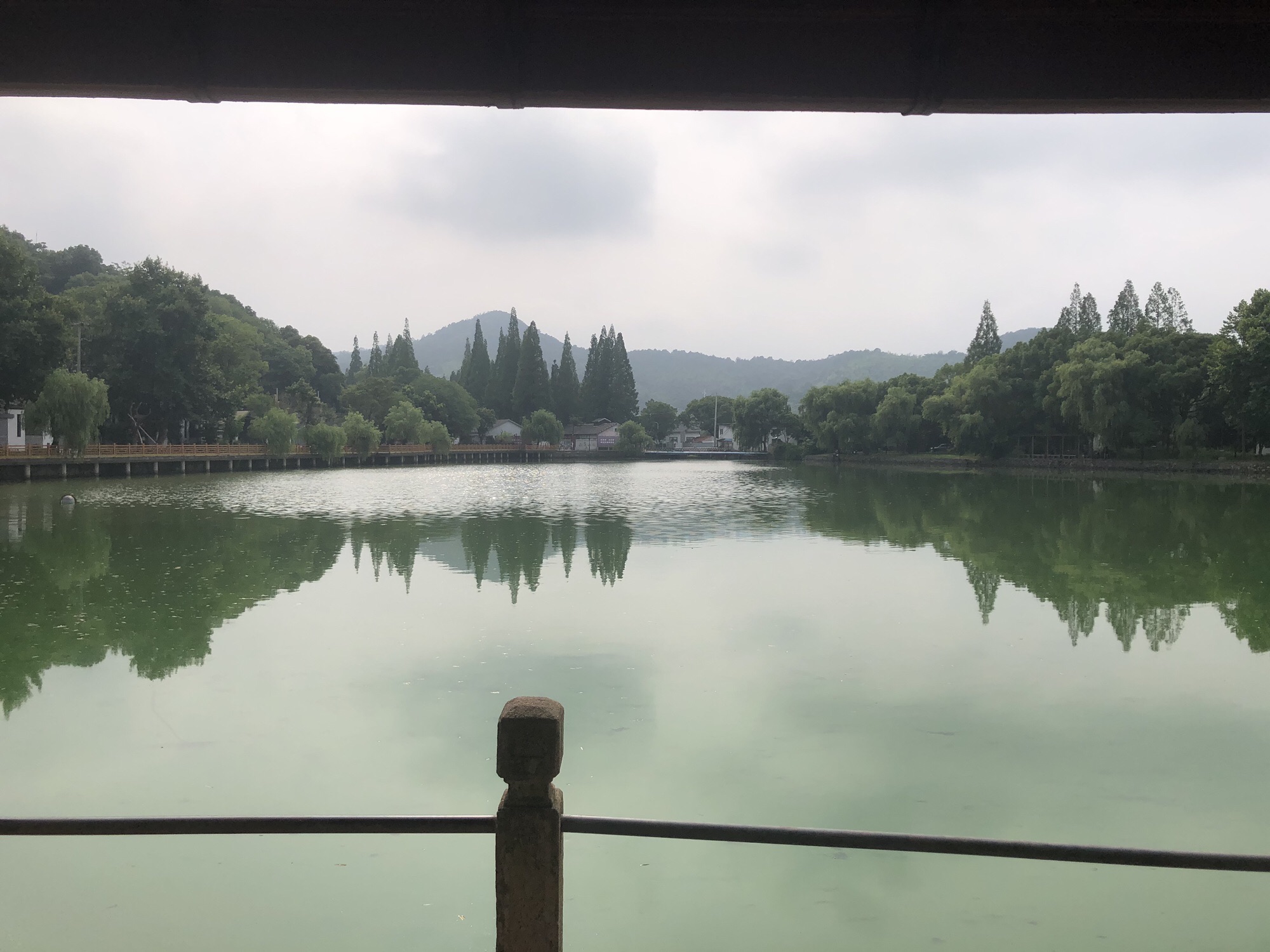 金塘滨海公园旅行图片 1