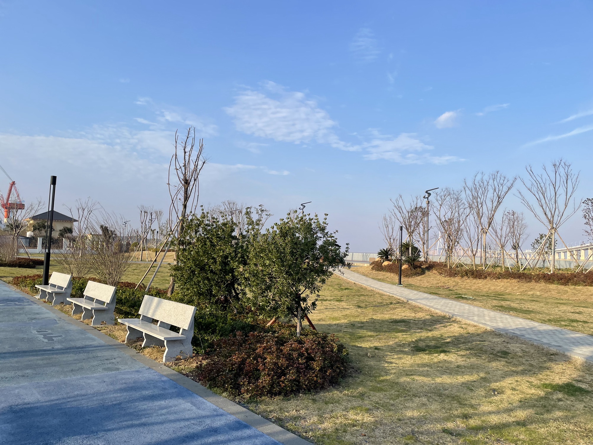 金塘滨海公园旅行图片 1