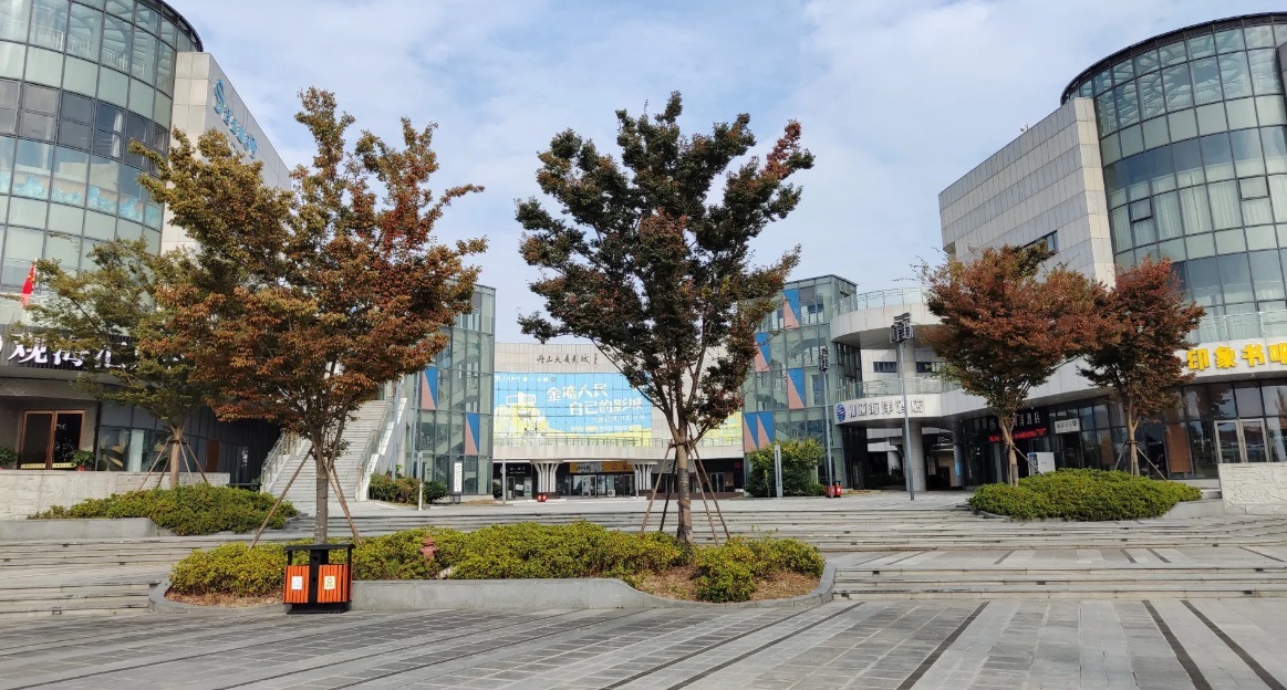 金塘滨海公园旅行图片 1
